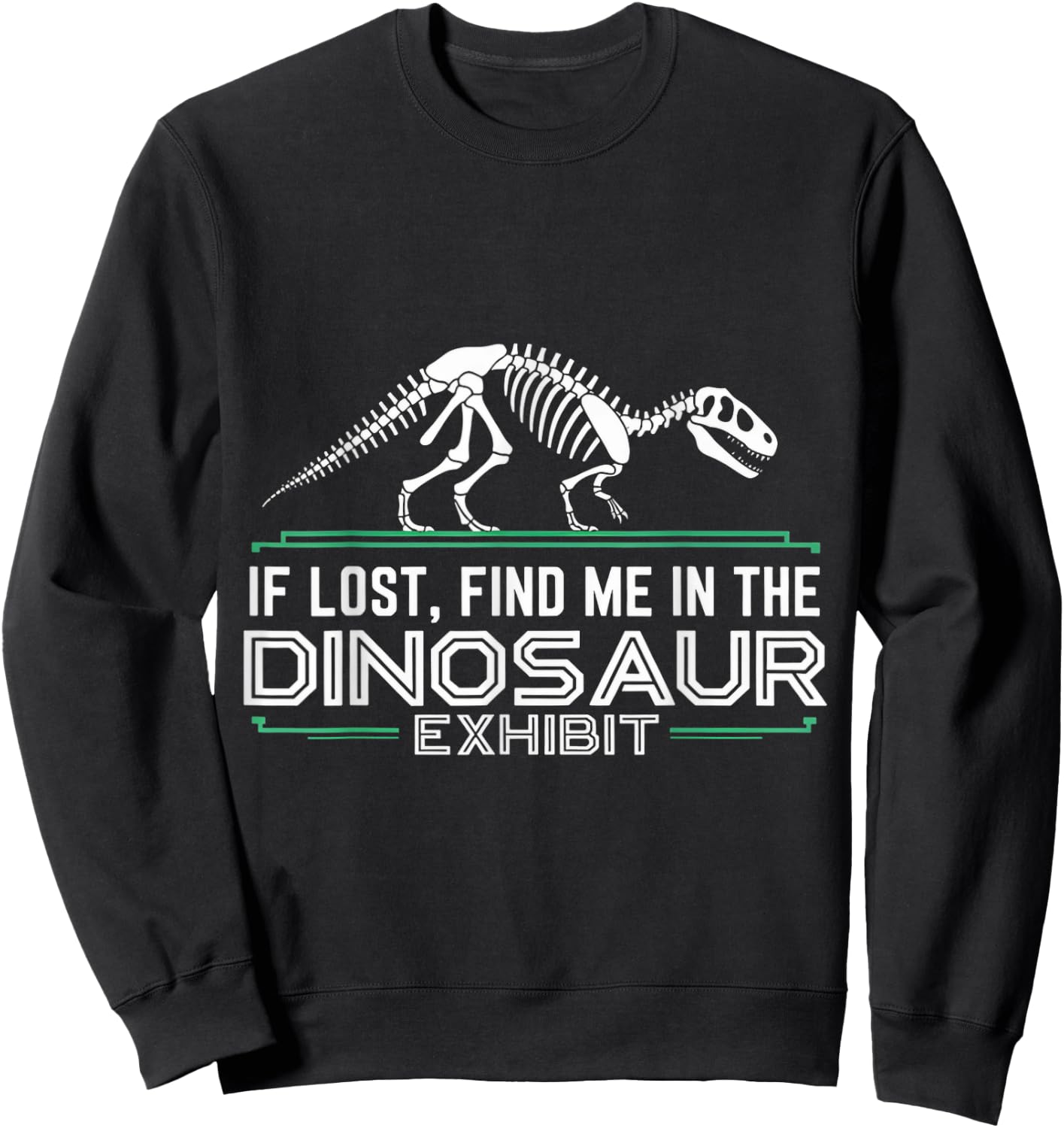 Find In Dinosaur Exhibit Museum Lover Museum Curator Museum Sweatshirt - Sweatshirt | Black