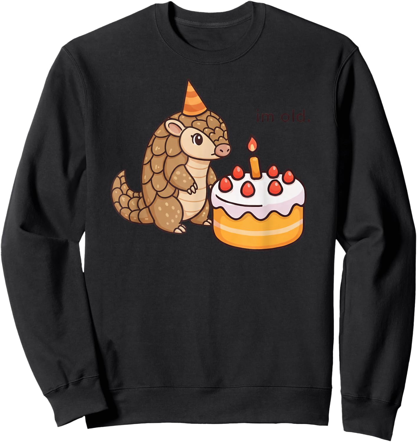 Funny Pangolin Birthday Im Old Bday Cake Animal Boys Girls Sweatshirt - Sweatshirt | Black