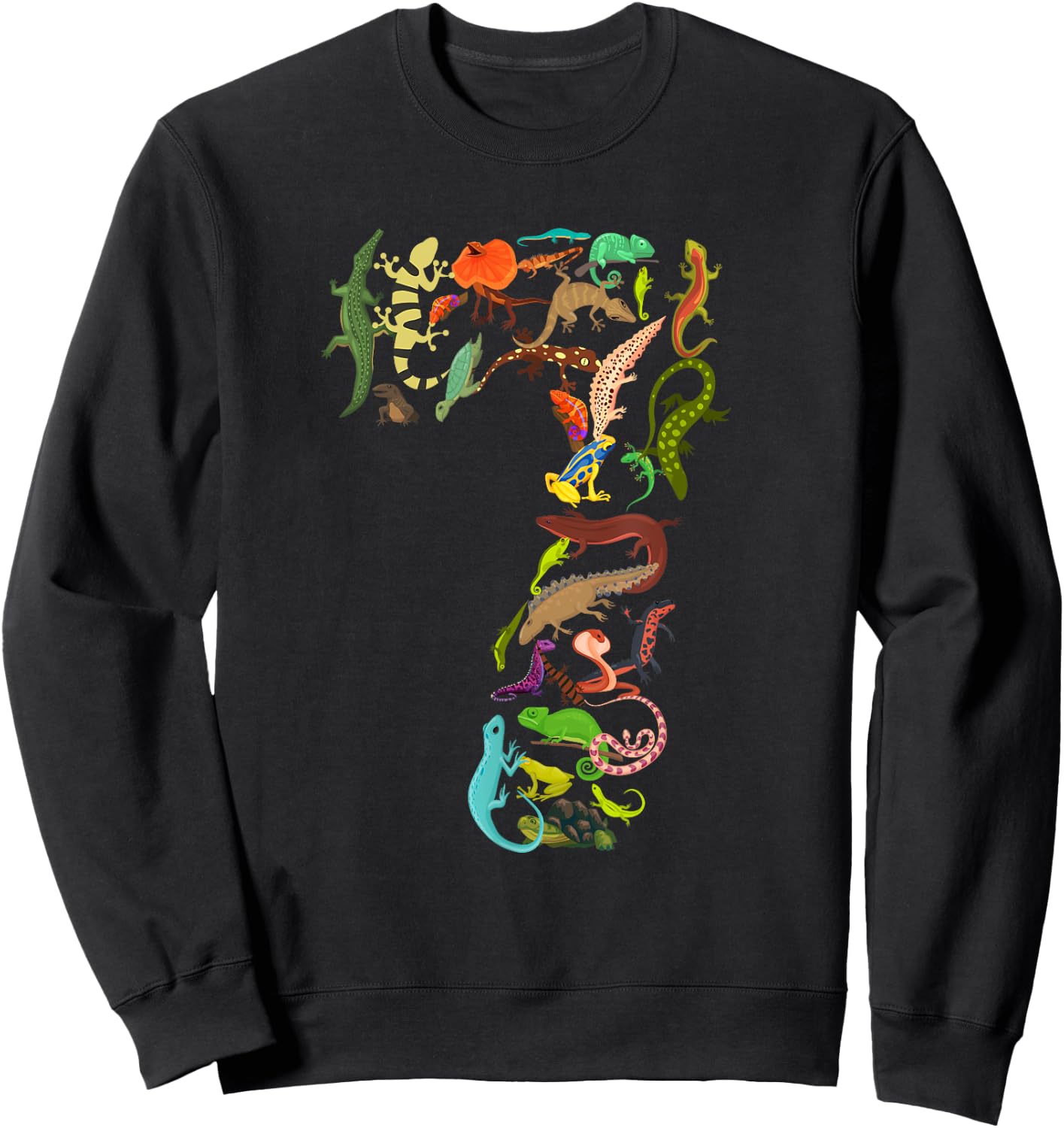 Kids 7th Birthday Reptiles Lizards Themed 7 Year Old Boys Sweatshirt - Sweatshirt | Black