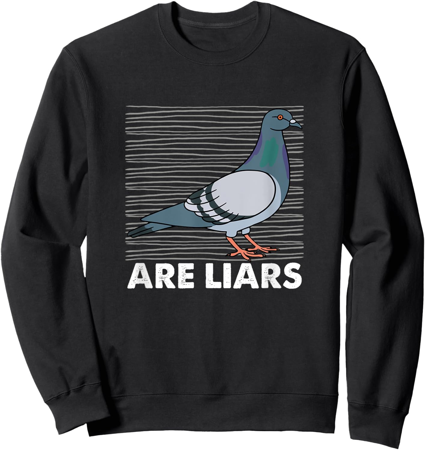 Pigeons Are Liars Aren't Real Spies Birds Pun Gift Sweatshirt - Sweatshirt | Black