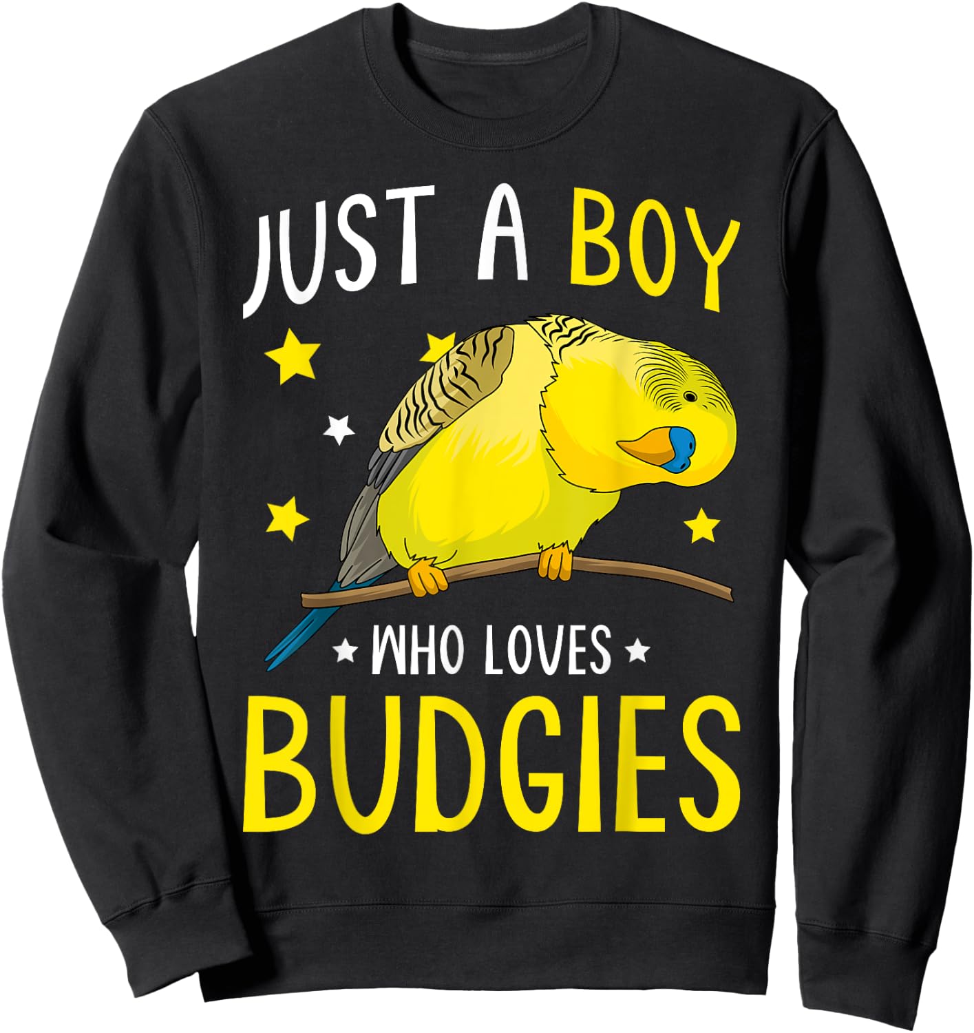 Just A Boy Who Loves Budgies Parakeet Budgerigar Boys Sweatshirt - Sweatshirt | Black