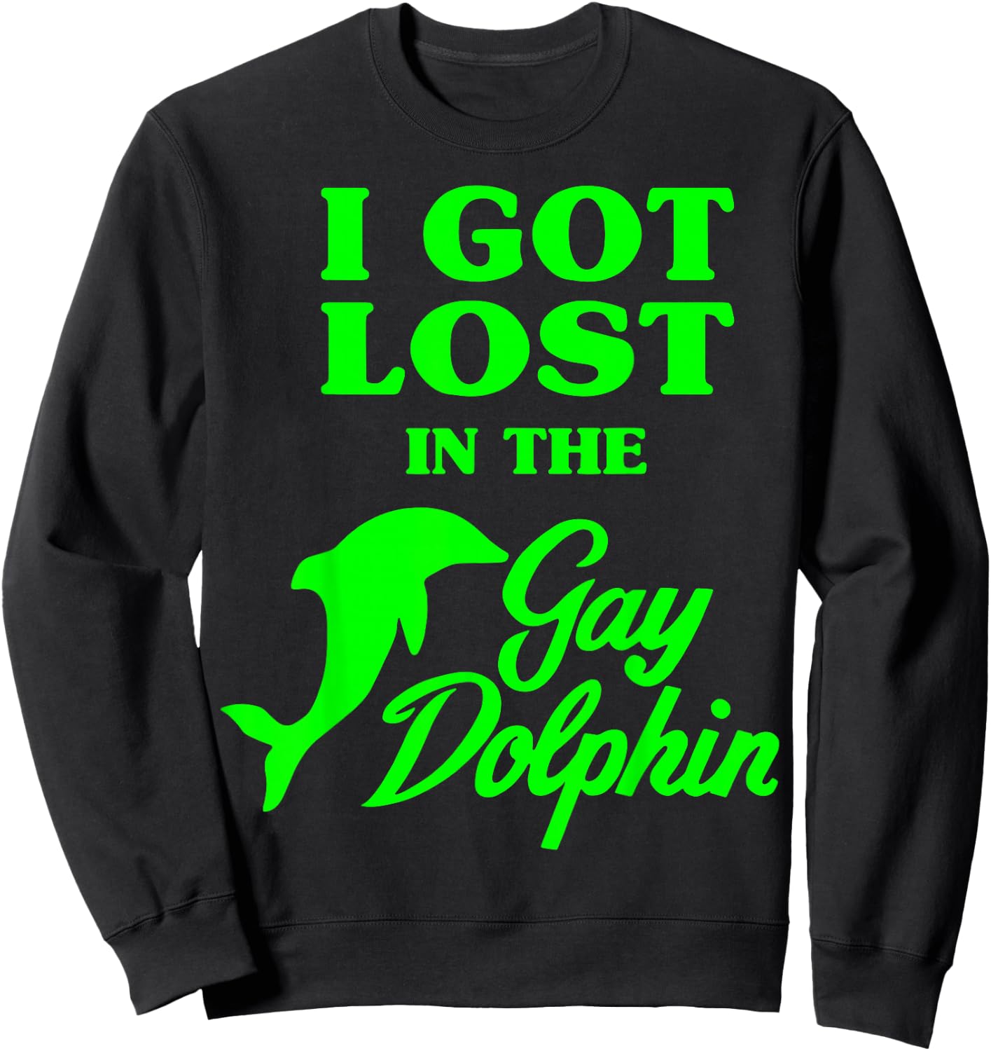 I Got Lost In The Gay Dolphin Sweatshirt - Sweatshirt | Black