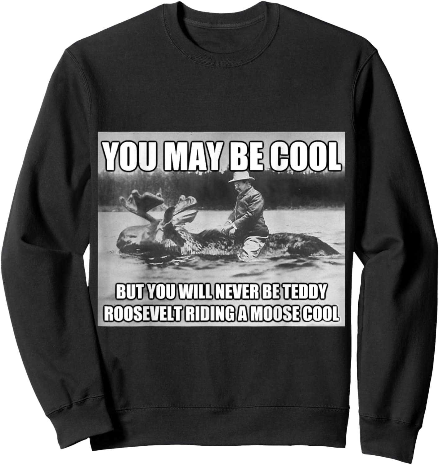 Funny Hipster Theodore Teddy Roosevelt Meme T Shirt Sweatshirt - Sweatshirt | Black