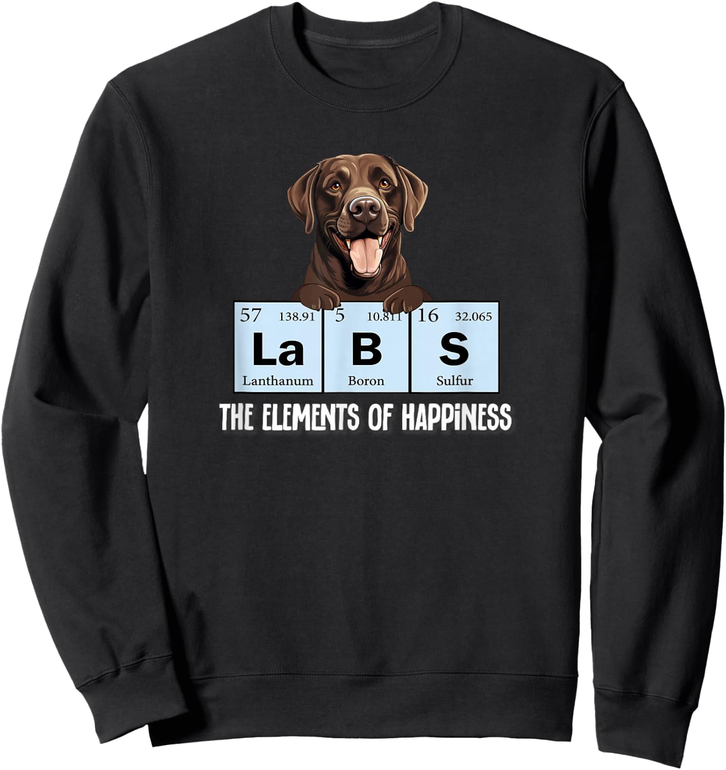 Kids Labs Element of Happiness Chocolate Lab Sweatshirt - Sweatshirt | Black