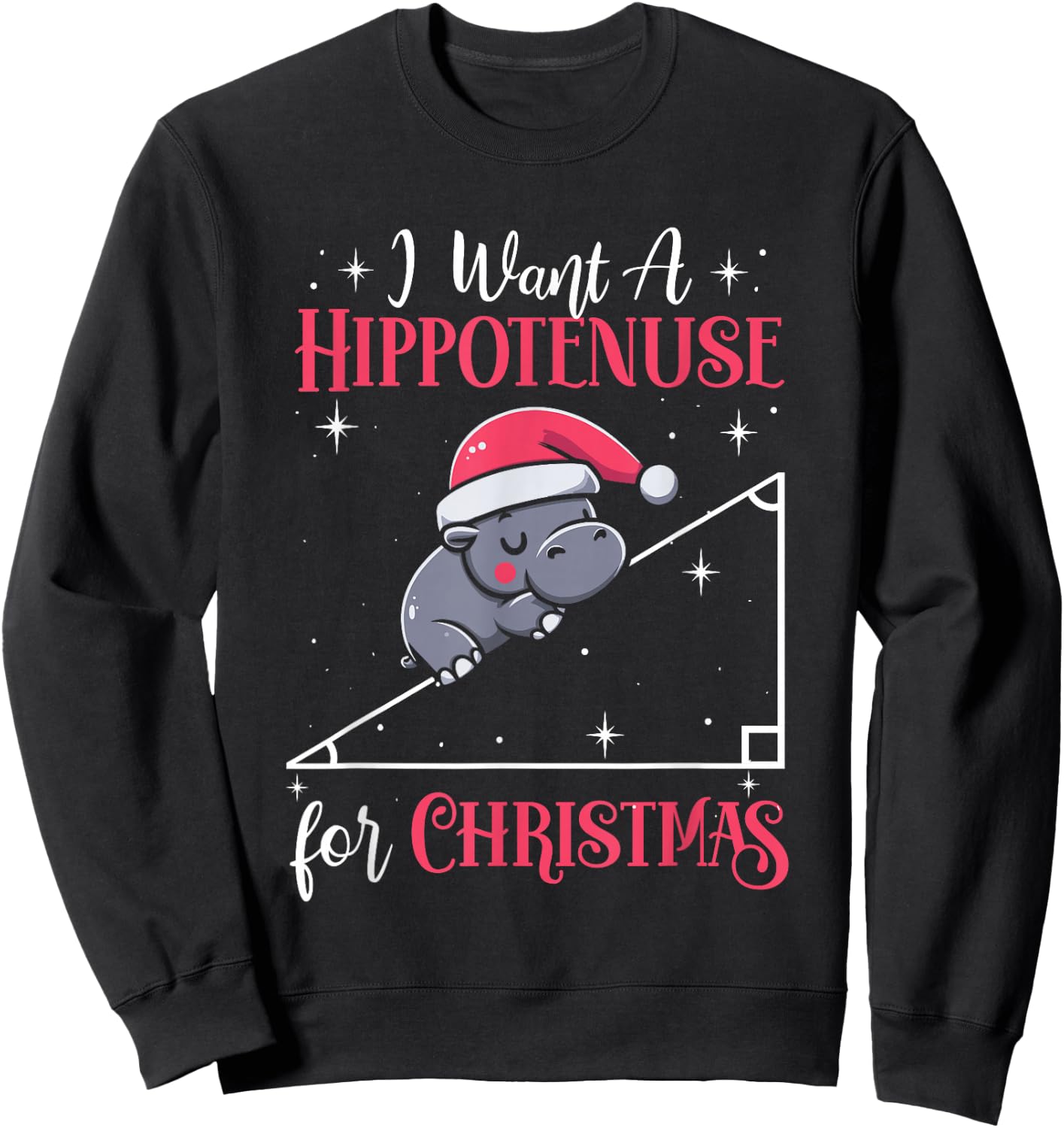 I Want A Hippotenuse For Christmas Funny Math Hippopotamus Sweatshirt - Sweatshirt | Black