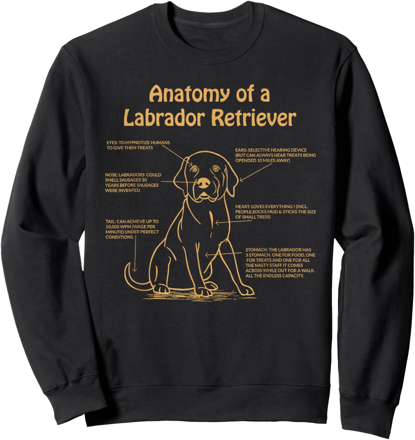 Anatomy of a Labrador Retriever Lab Owner Sweatshirt - Sweatshirt | Black