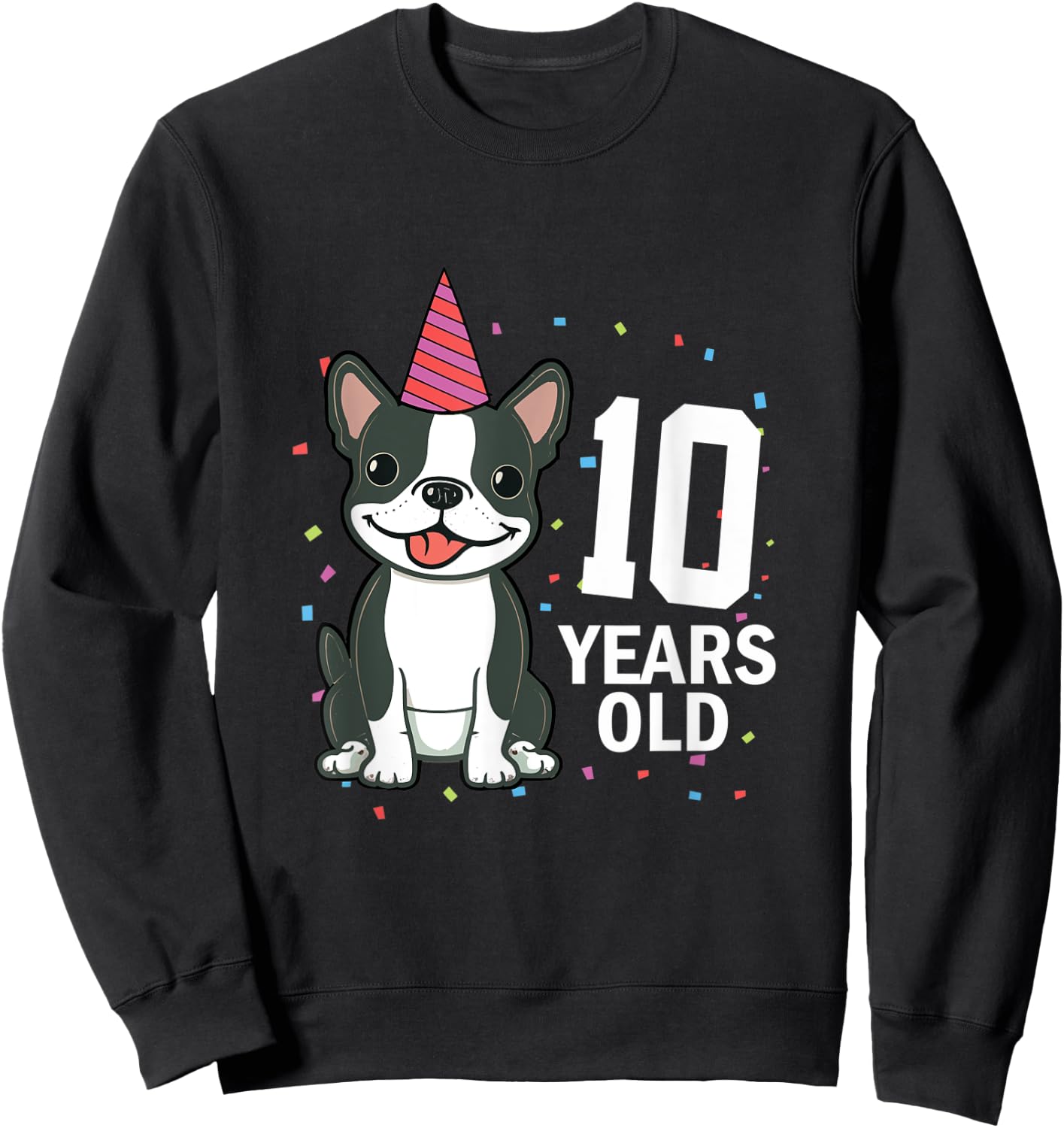 10 Years Old Birthday Boston Terrier Dog Lover 10th Party Women Kids Sweatshirt - Sweatshirt | Black
