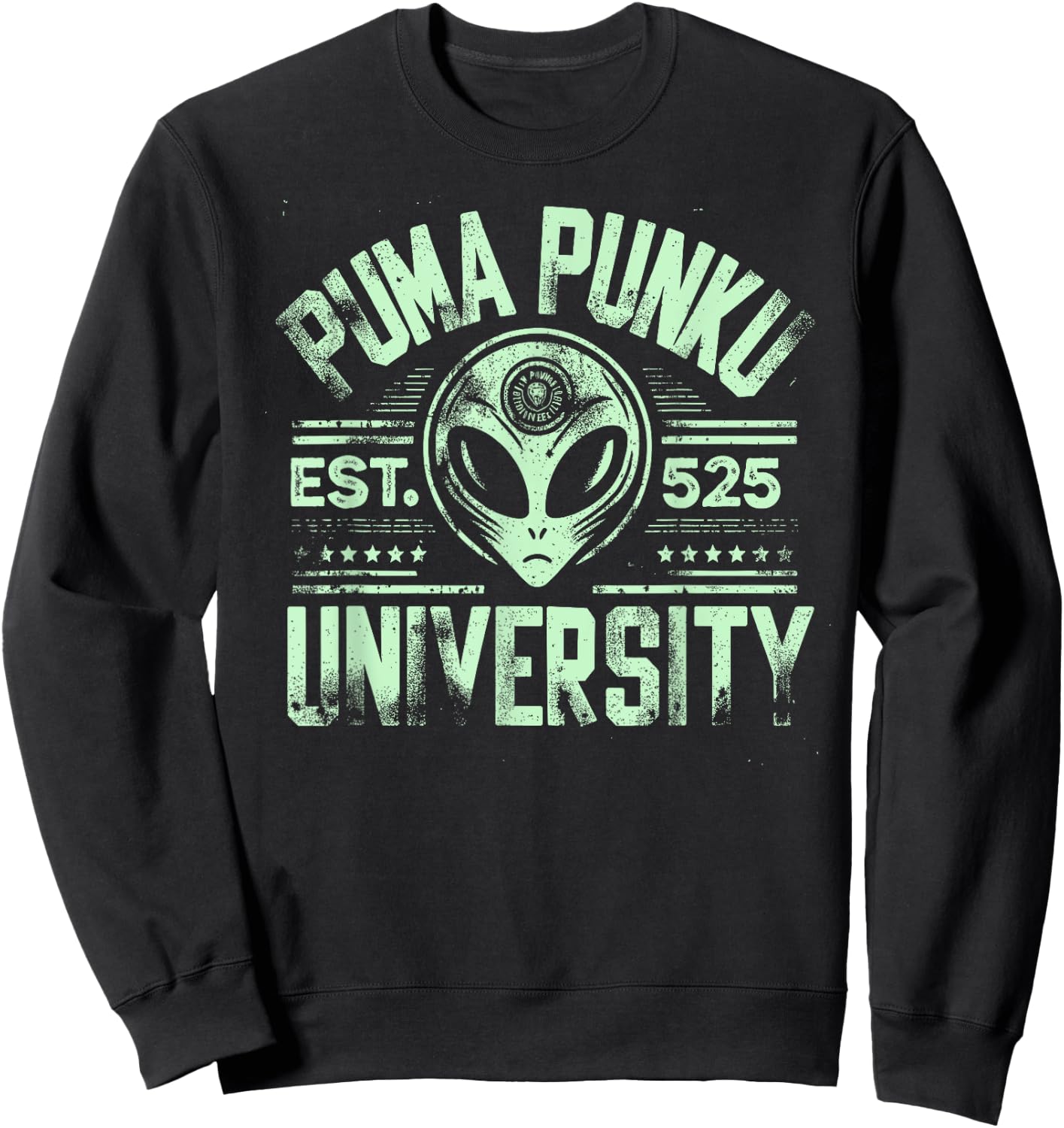 Puma Punku University, Ancient Astronaut Theorist Alien Sweatshirt - Sweatshirt | Black