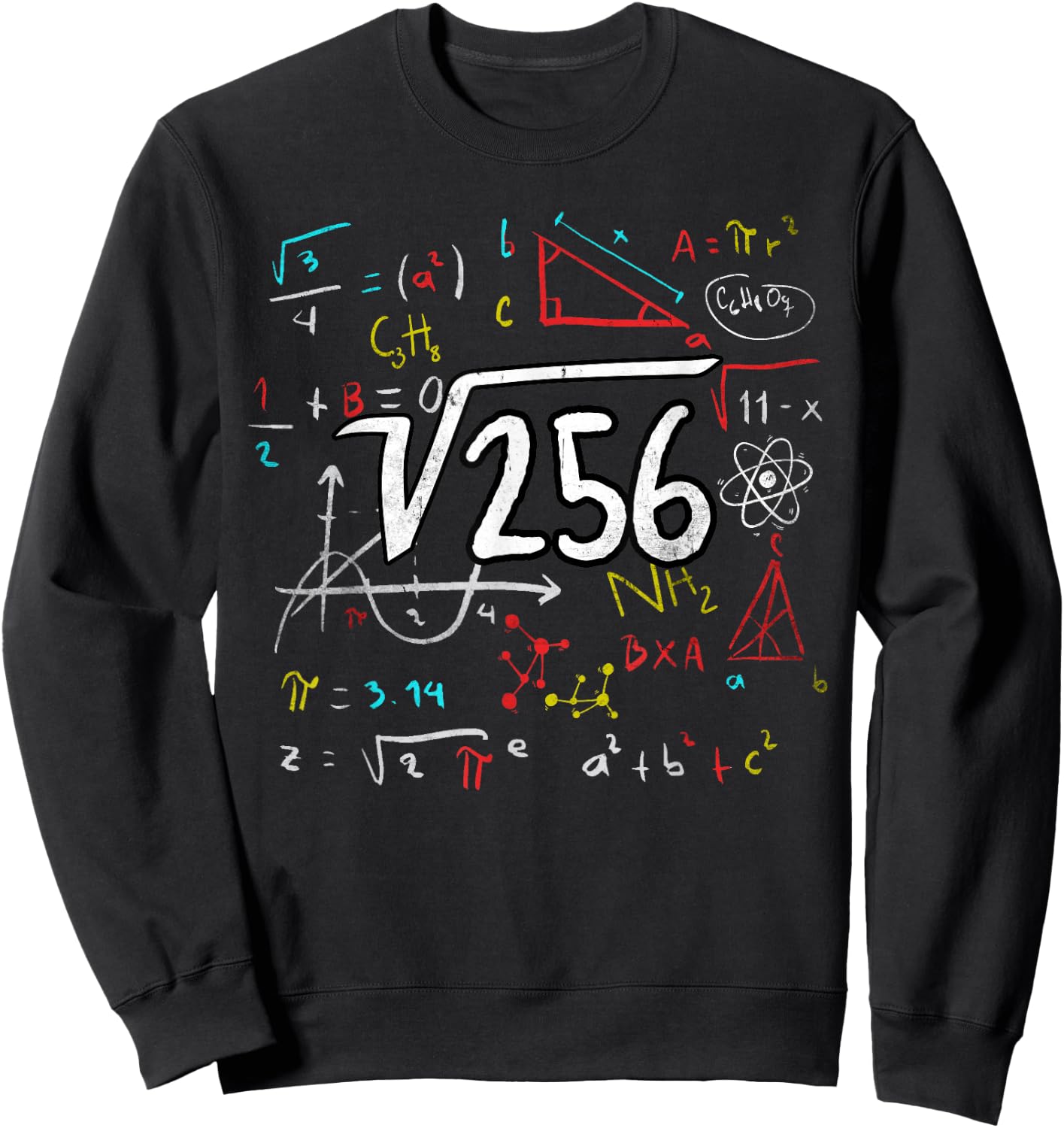 16th Birthday Root from 256 = 16 Years Birthday Maths , black Sweatshirt - Sweatshirt | Black