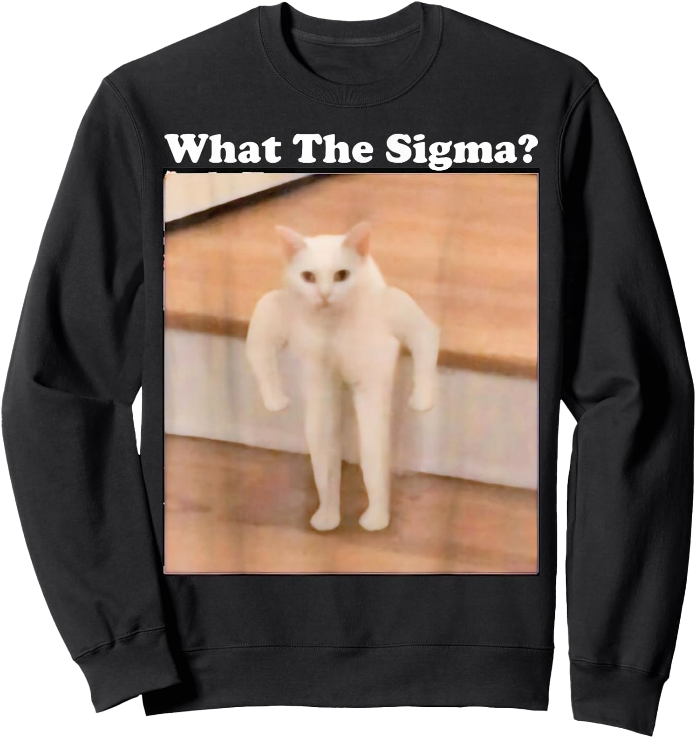 What Sigma Meme Cat Meme Internet Memes Funny Meme Gen Z Pun Sweatshirt - Sweatshirt | Black