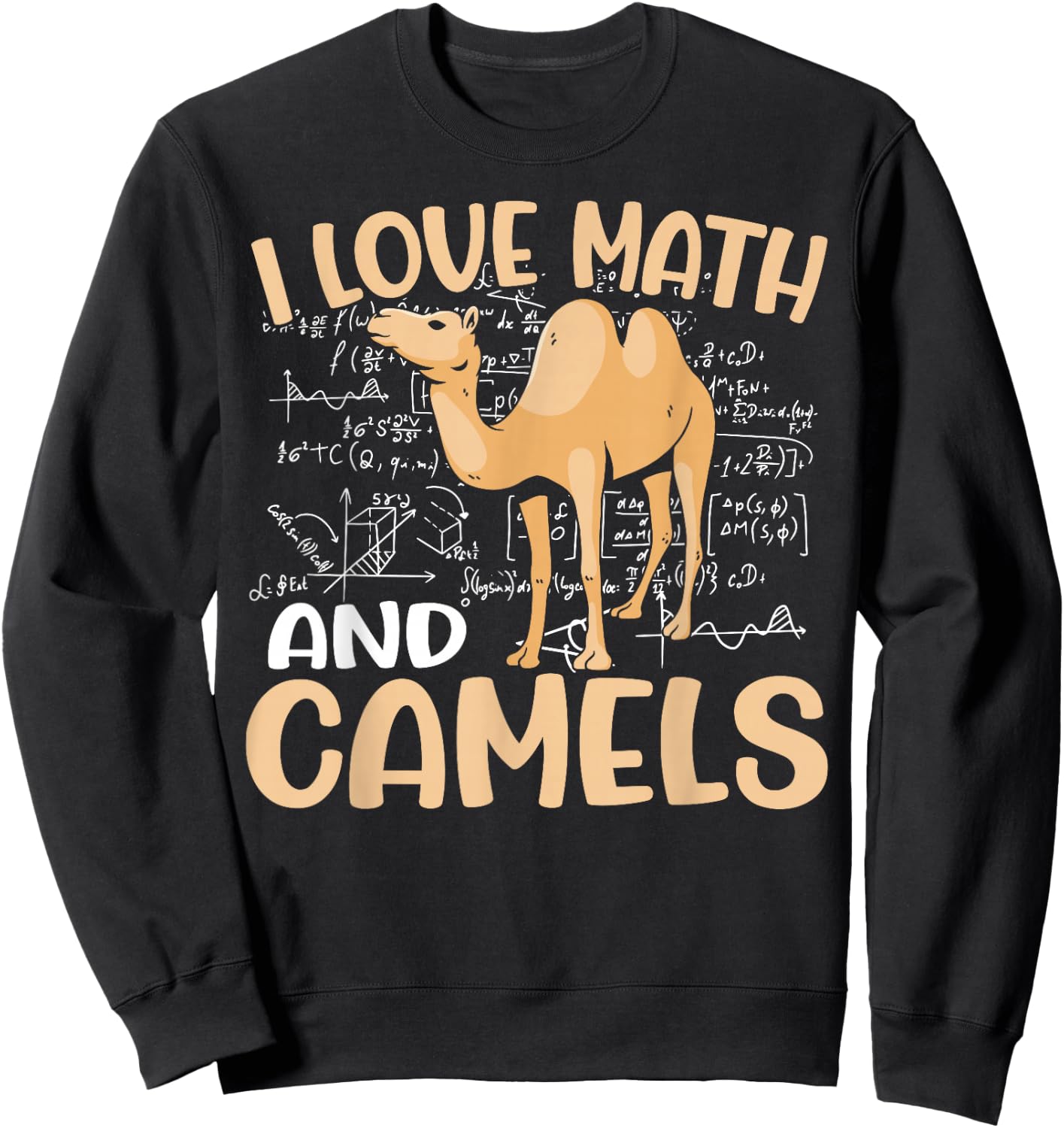 Kids Dromedary Funny School I Love Math And Camels Sweatshirt - Sweatshirt | Black