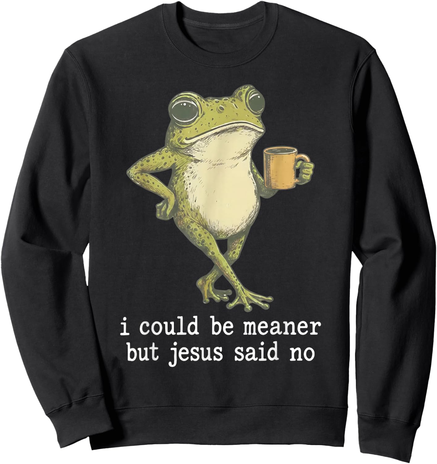I Could Be Meaner But Jesus Said No Funny Frog Sweatshirt - Sweatshirt | Black