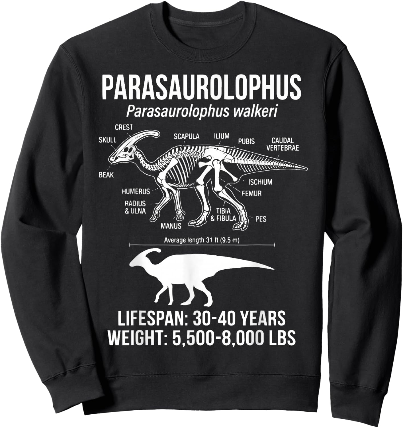 Parasaurolophus Diagram Sweatshirt - Sweatshirt | Black
