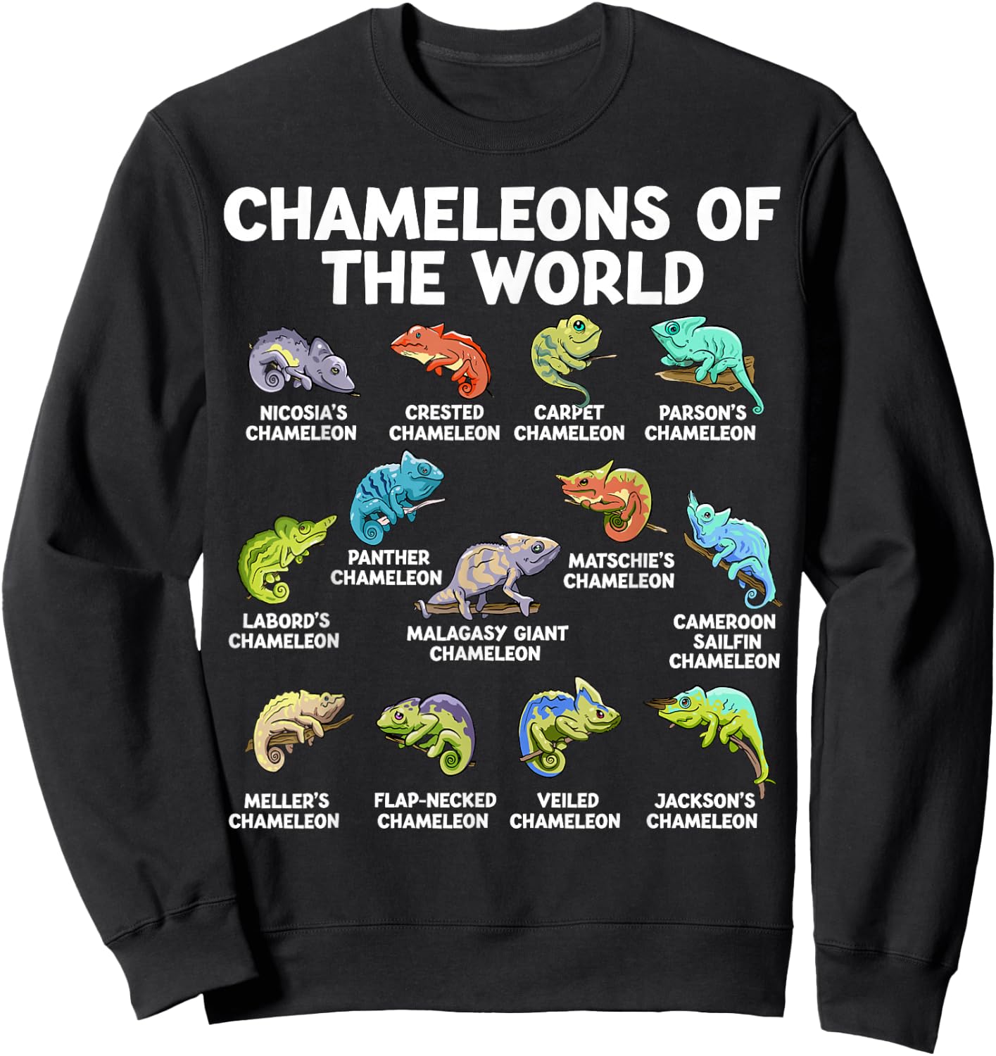 Chameleons Of The World Kawaii Types Of Chameleons Reptile Sweatshirt - Sweatshirt | Black