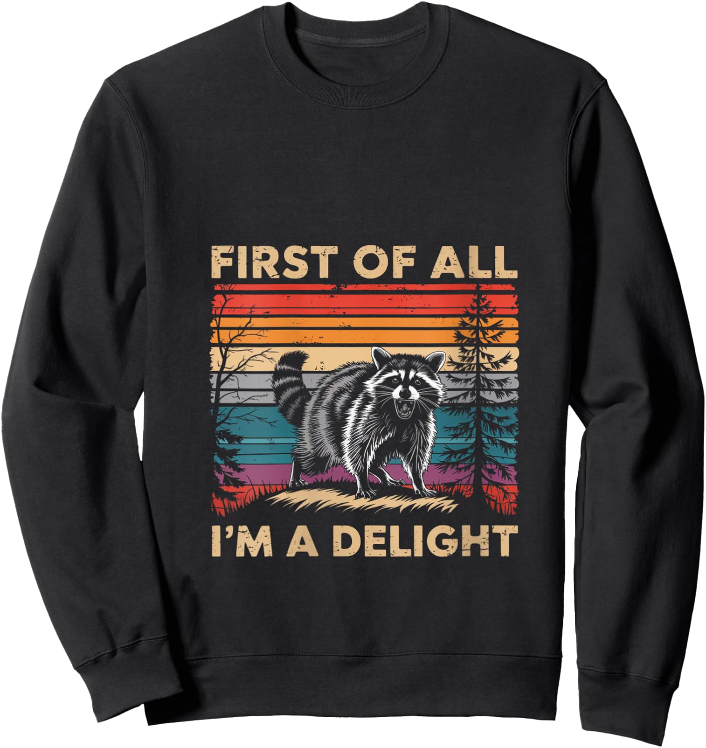 Raccoon First Of All Im A Delight Racoon Gifts Women V-Neck Sweatshirt - Sweatshirt | Black