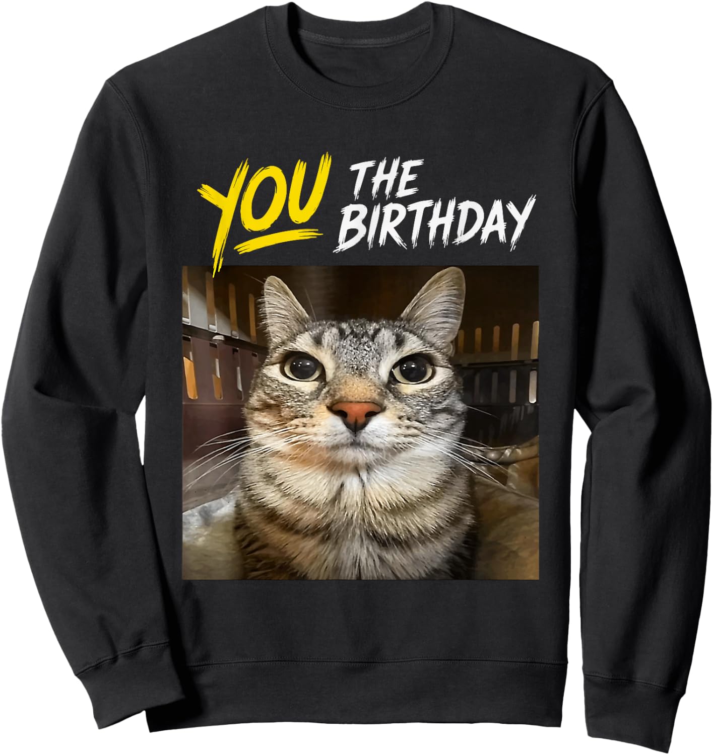 You The Birthday Funny Gen Z Slang Meme Cat Sweatshirt - Sweatshirt | Black