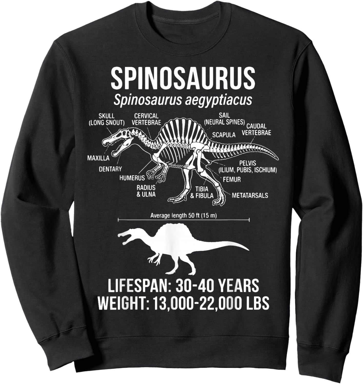 Spinosaurus Diagram Sweatshirt - Sweatshirt | Black