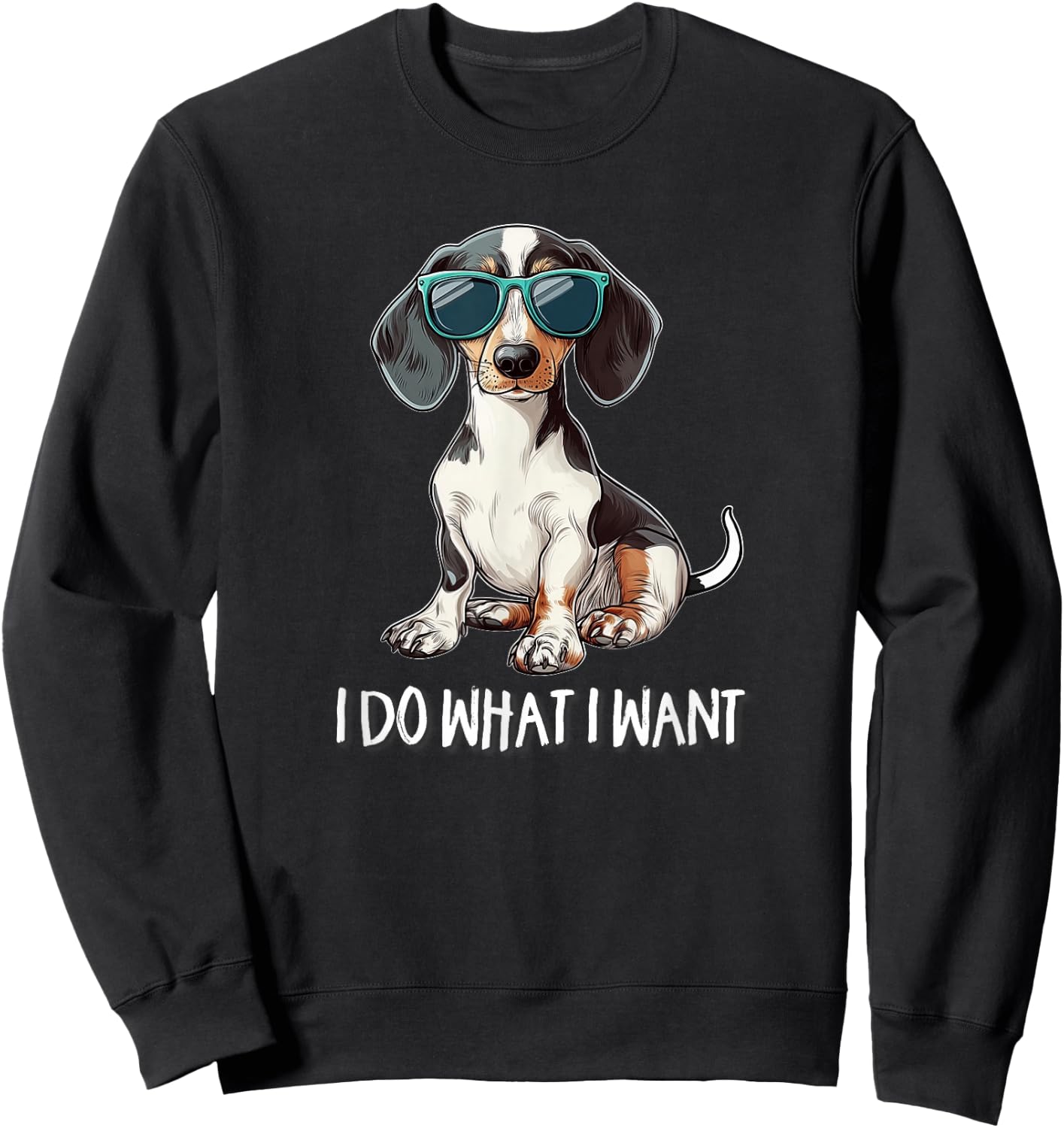 Funny Do What I Want Piebald Dachshund Lover Sweatshirt - Sweatshirt | Black