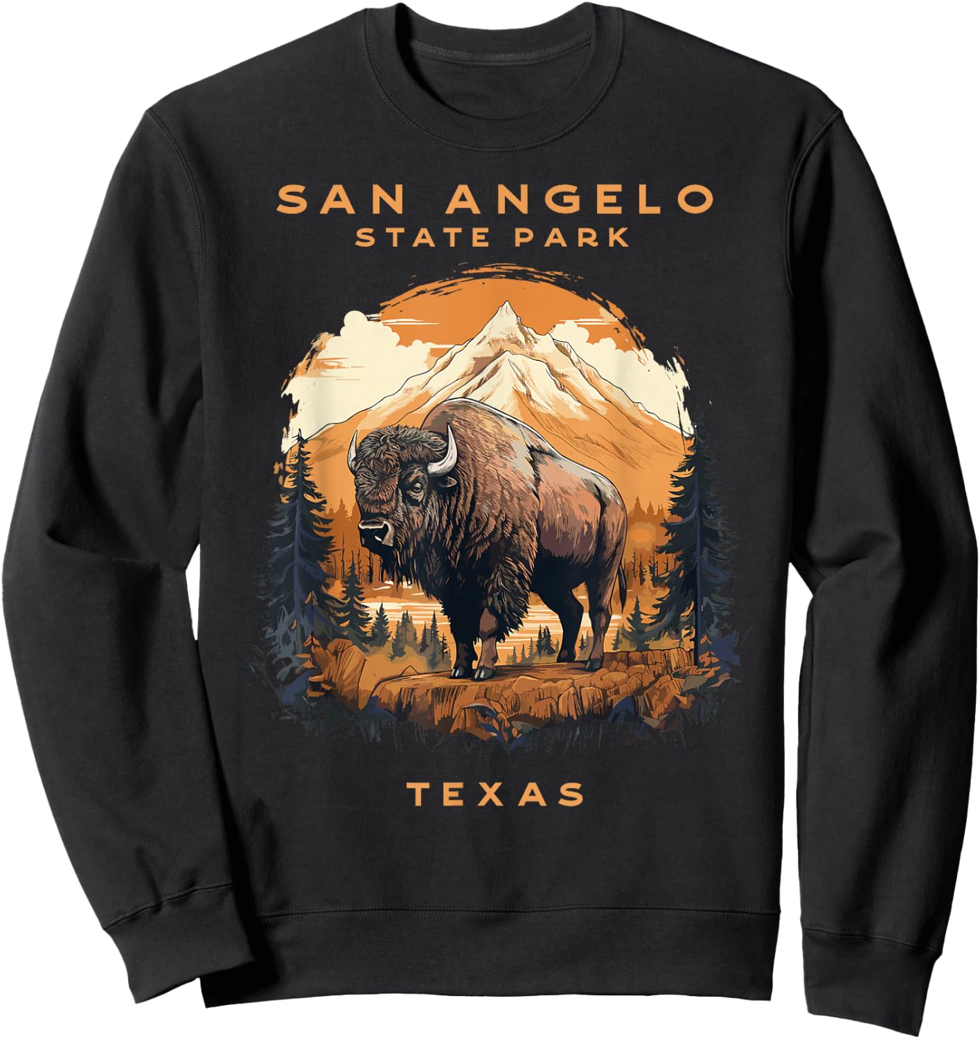 San Angelo Bison State Park Texas Vintage Sweatshirt - Sweatshirt | Black