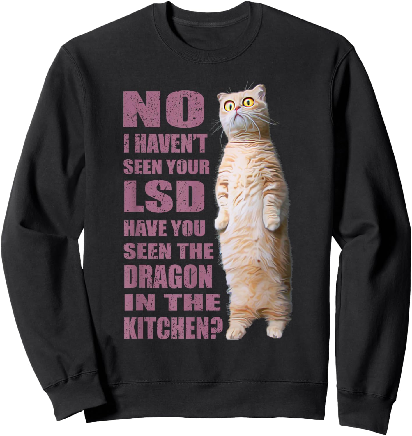 No I Haven't Seen Your LSD ~ Funny Cat Men Women Sweatshirt - Sweatshirt | Black
