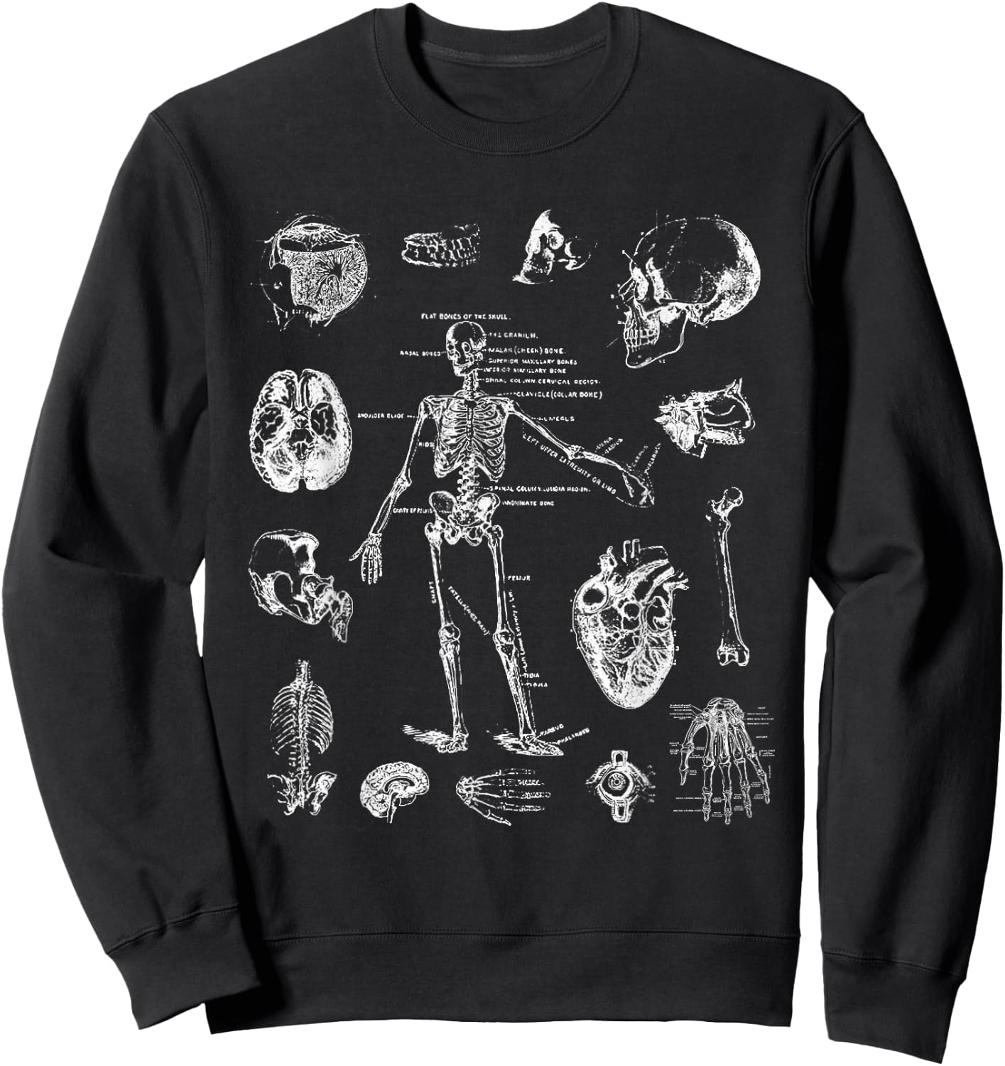 Human Skeleton Anatomy Drawing Diagram Spooky Halloween Sweatshirt - Sweatshirt | Black