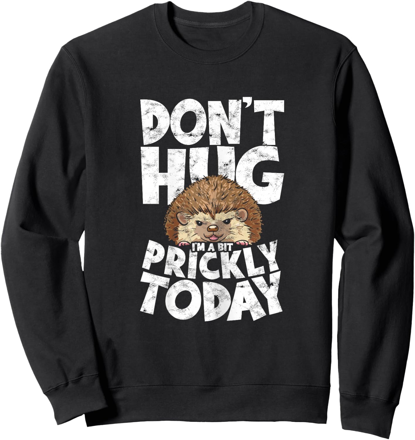 Don't Hug I'm A Bit Prickly Today Sweet Hedgehog Hugger Sweatshirt - Sweatshirt | Black