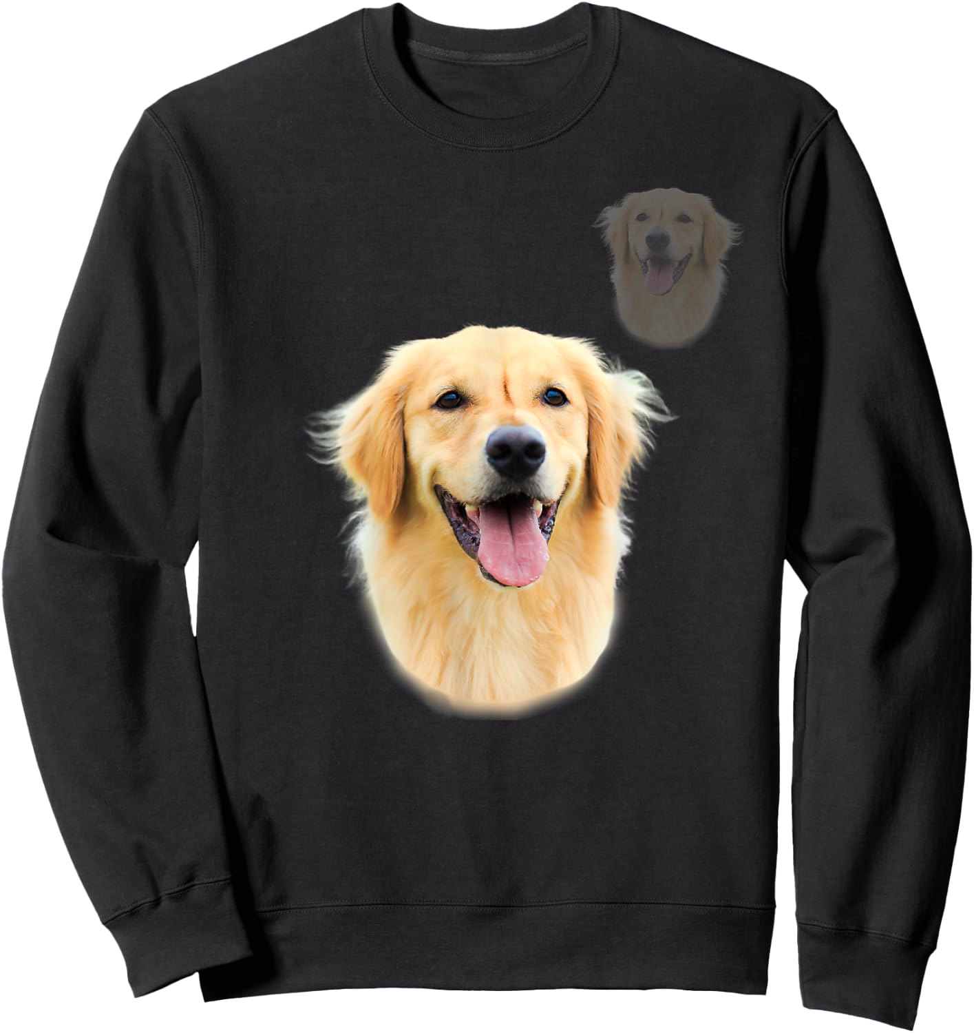 Golden Retriever School Photo, Funny Golden Retriever Sweatshirt - Sweatshirt | Black
