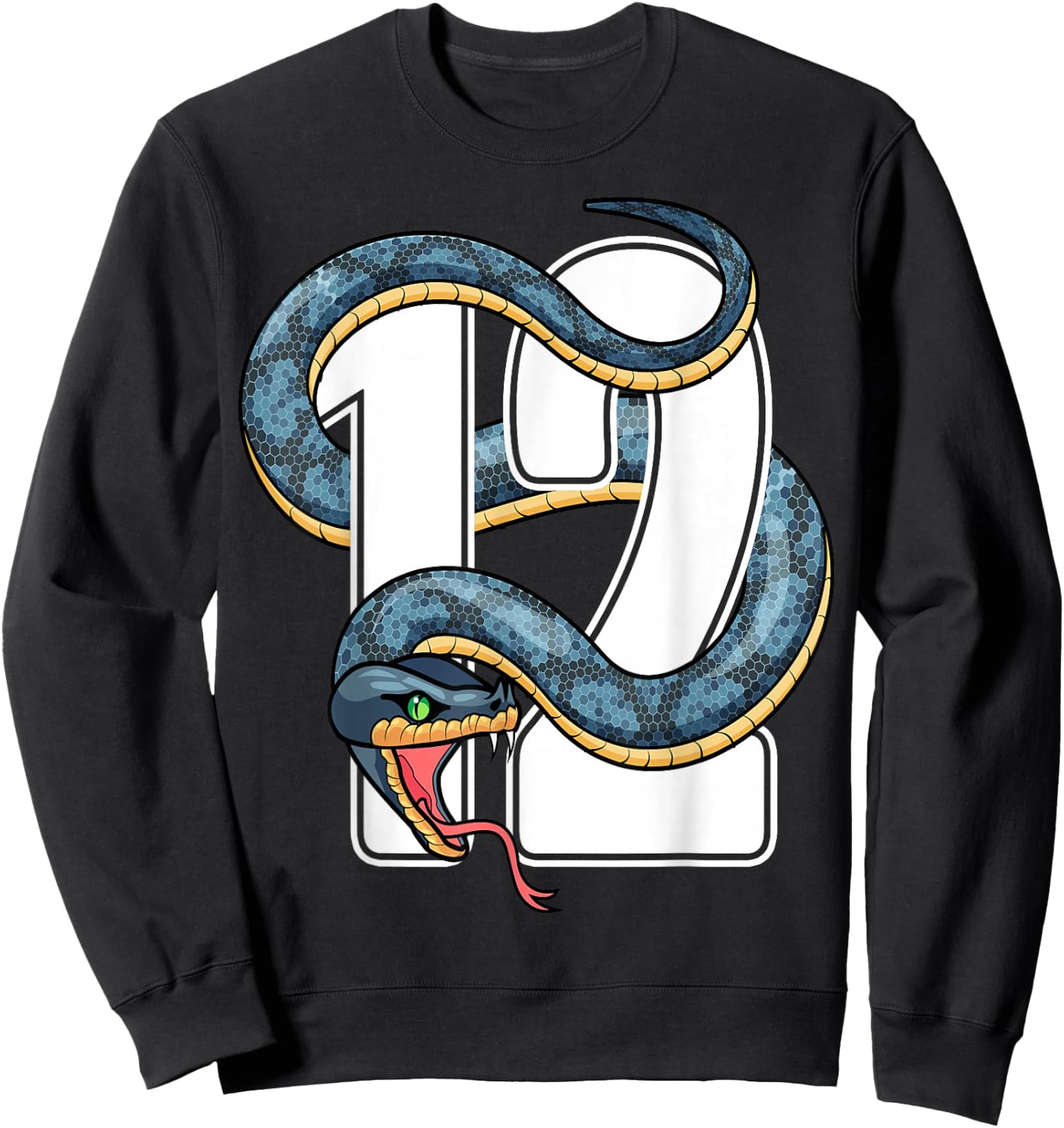 12th Birthday Snake Twelve 12 Year Old Birthday Boy Girl Sweatshirt - Sweatshirt | Black