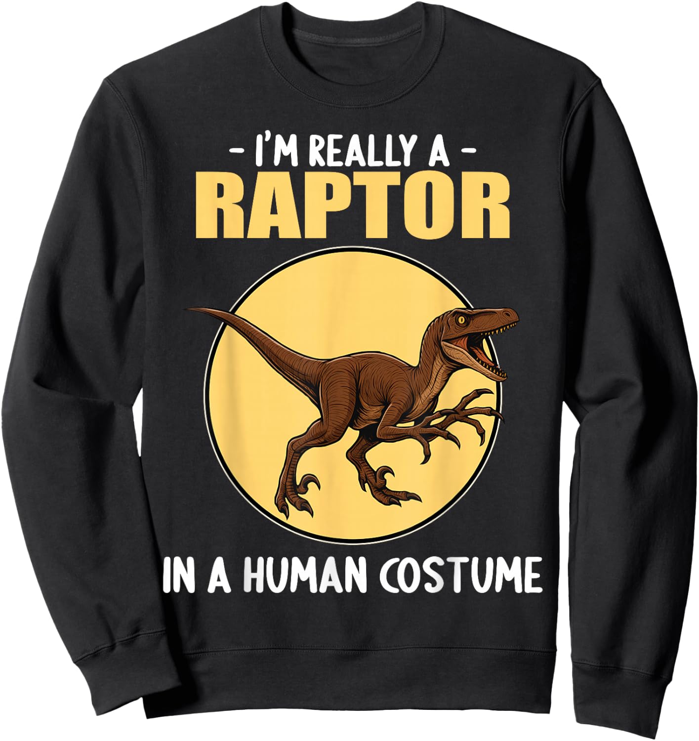 Raptors Raptor Sweatshirt - Sweatshirt | Black