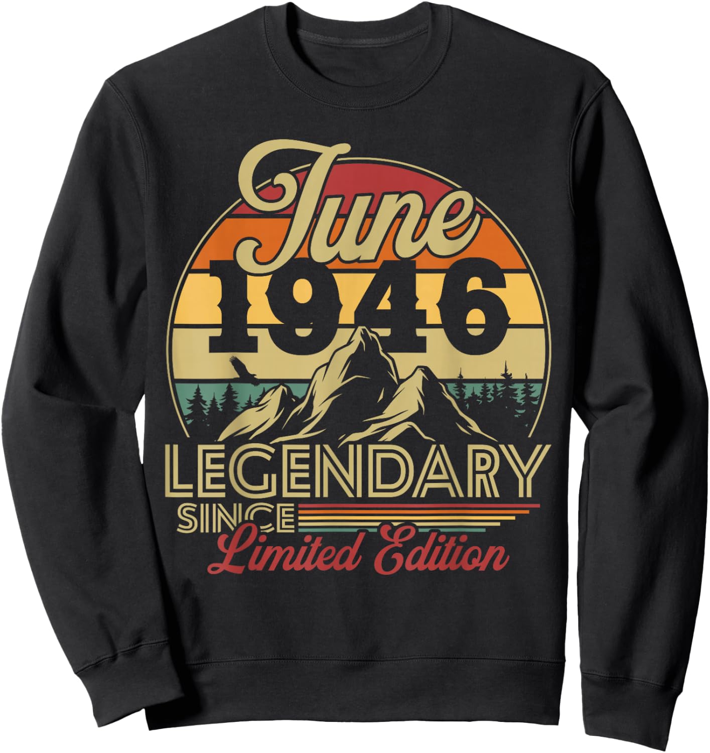 Vintage Cadeau d'anniversaire 80 Ans pour Né en Juin 1946 Sweatshirt - Sweatshirt | Black
