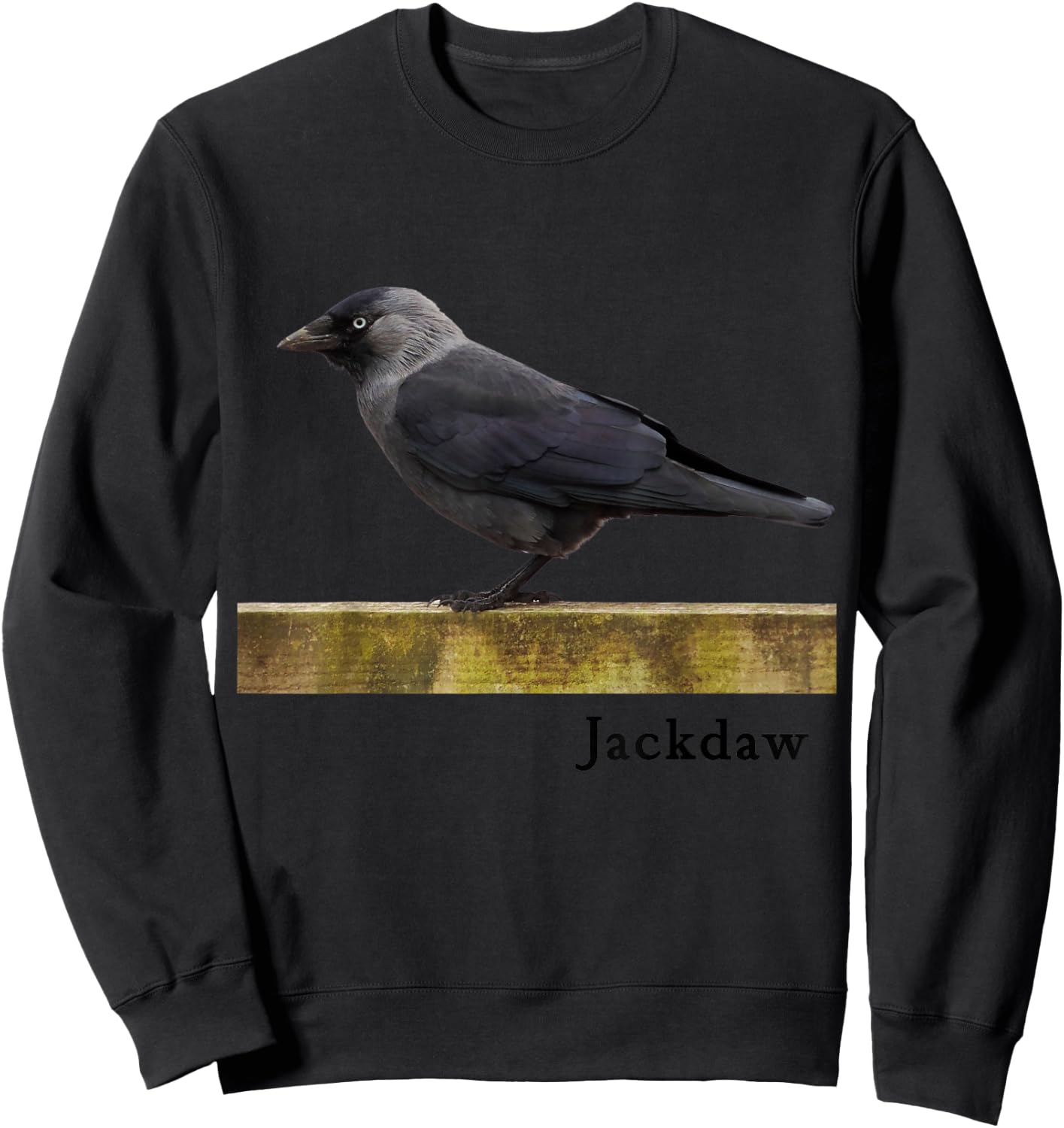 Jackdaw Bird Shirt Western Jackdaw Bird Ornithology Sweatshirt - Sweatshirt | Black