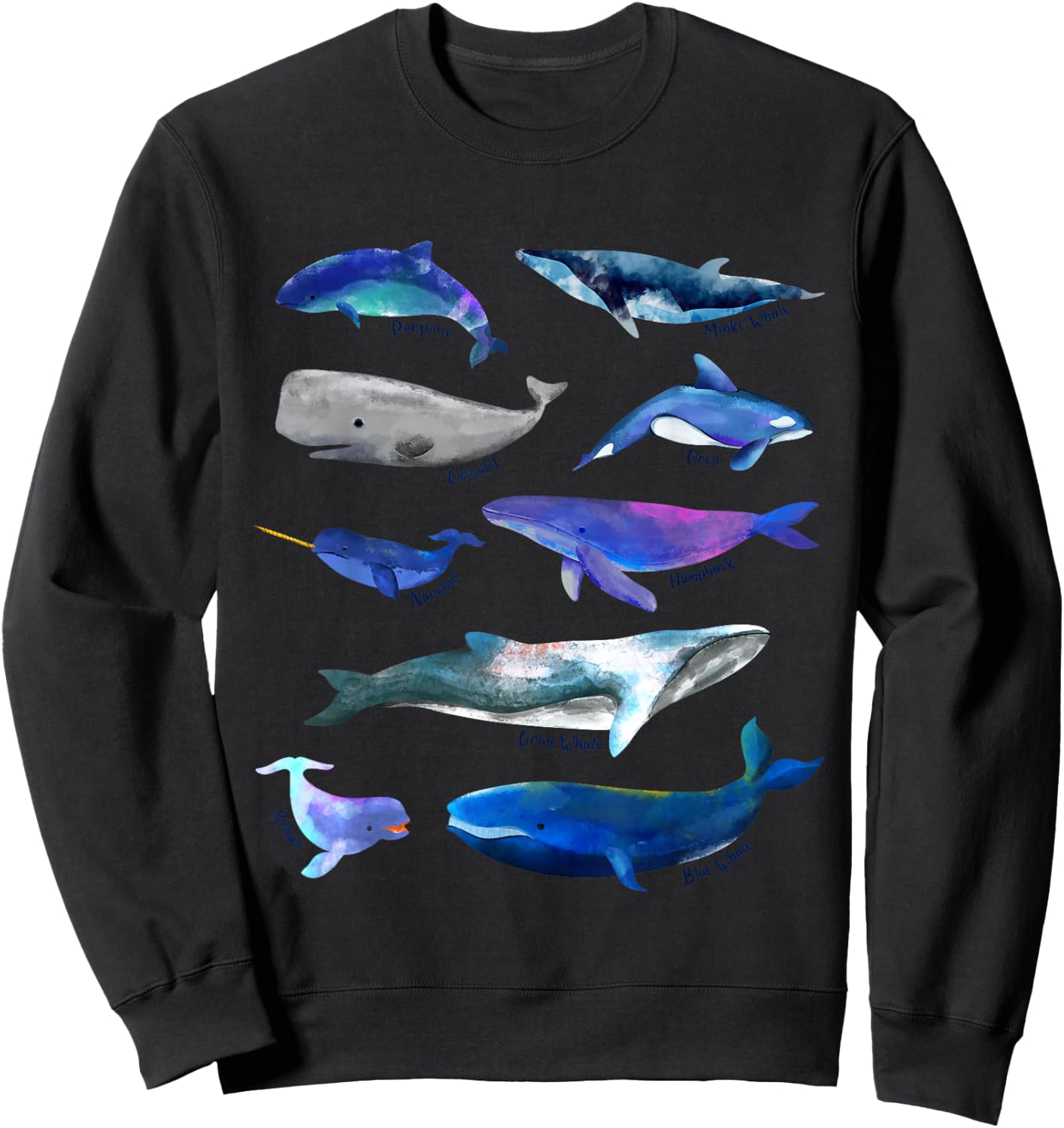 Whales Drawings - Whales Species Sweatshirt - Sweatshirt | Black
