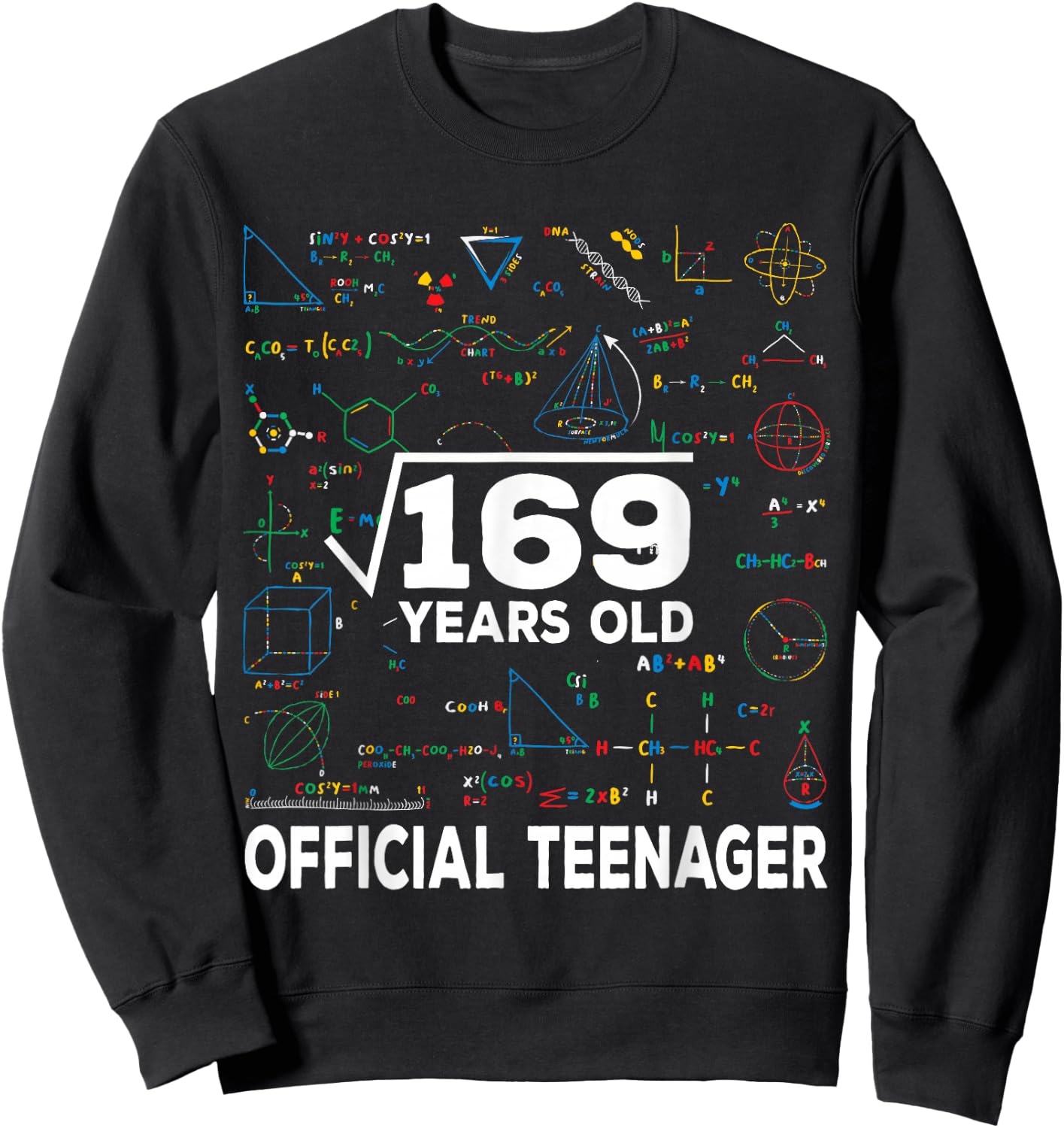 Square Root Of 169 13 Years Old Official Teenager Birthday Sweatshirt - Sweatshirt | Black