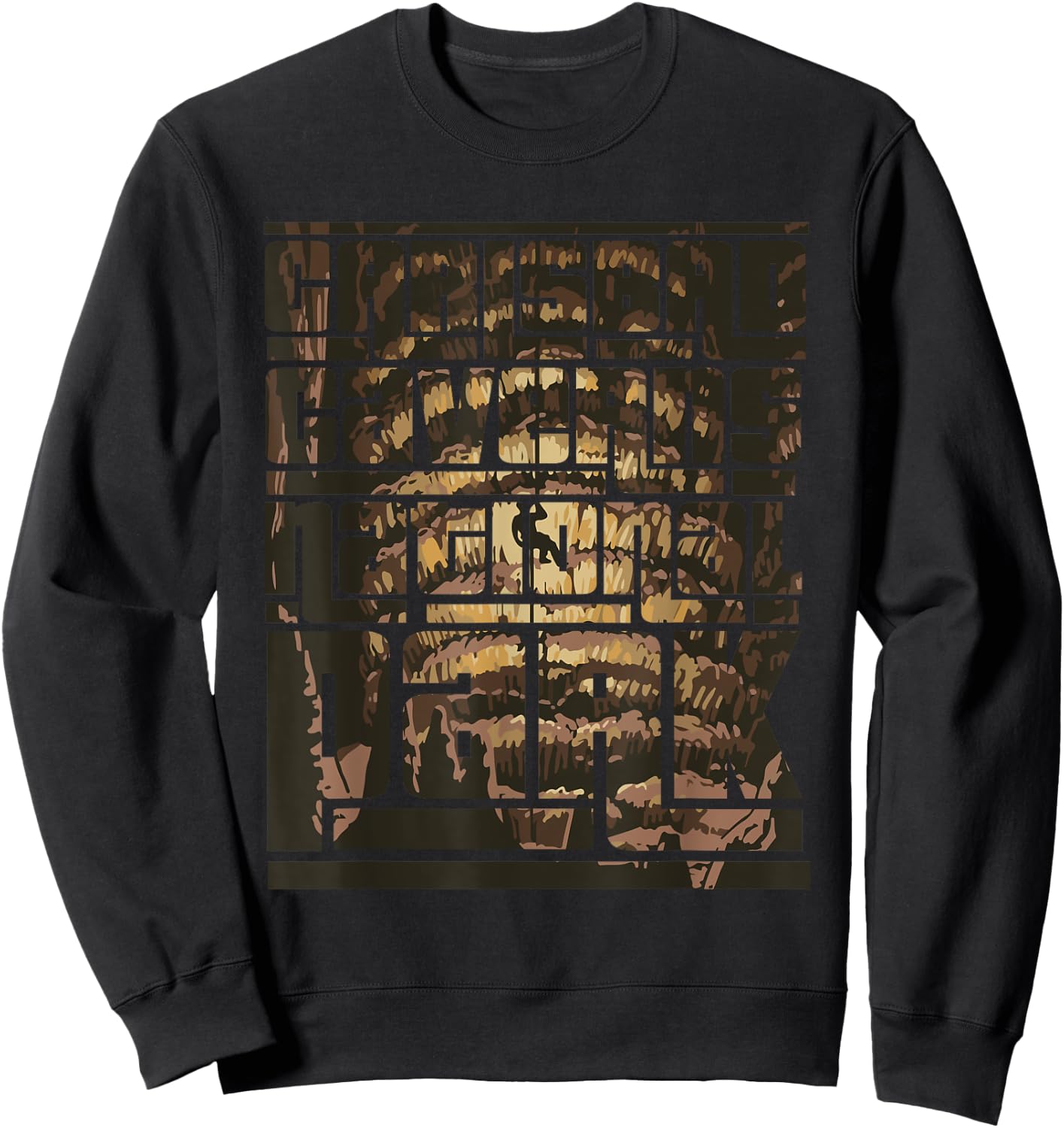 Carlsbad Caverns National Park Souvenir Cave New Mexico Sweatshirt - Sweatshirt | Black