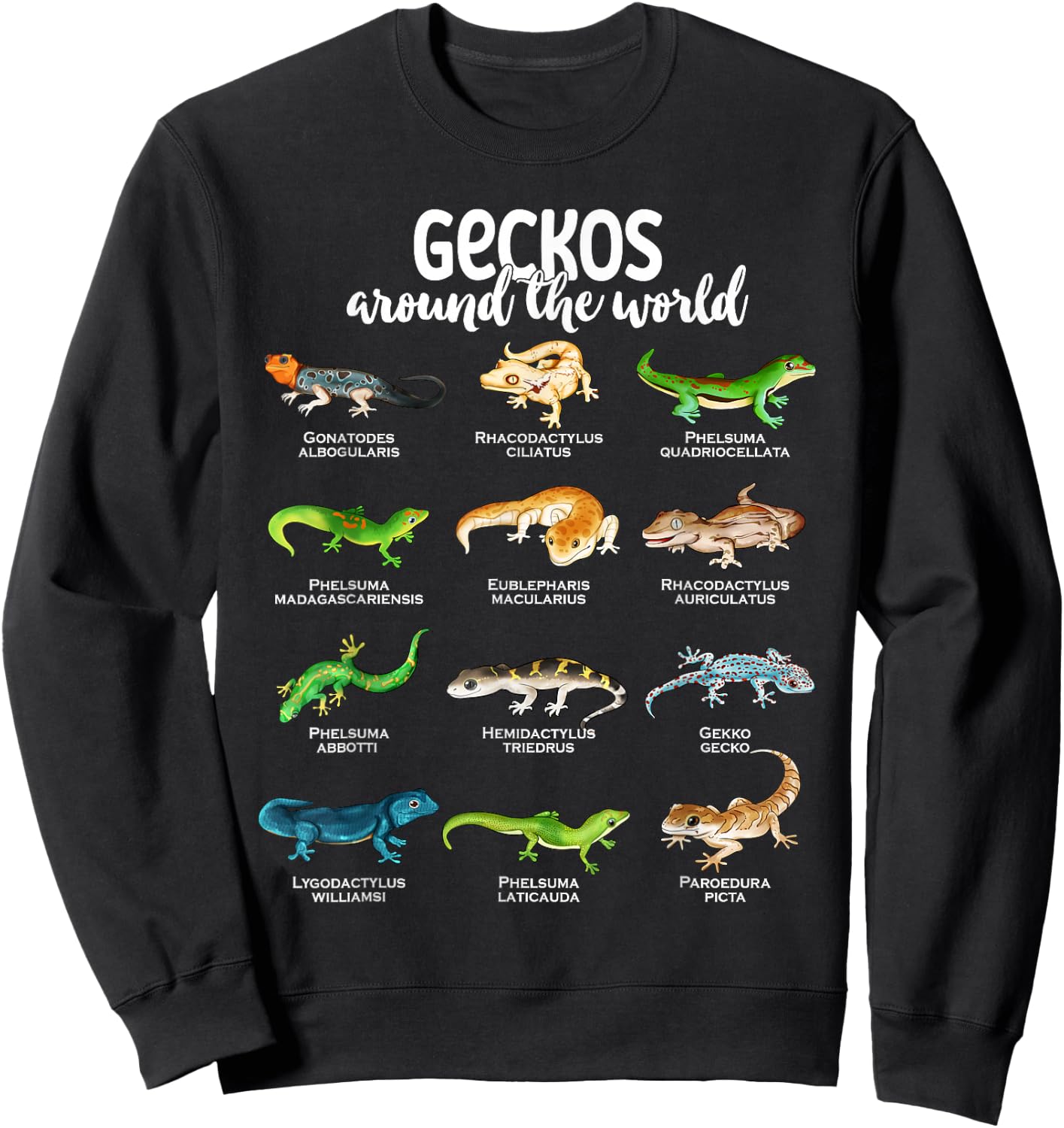 Geckos around the world - Types of Geckos Sweatshirt - Sweatshirt | Black