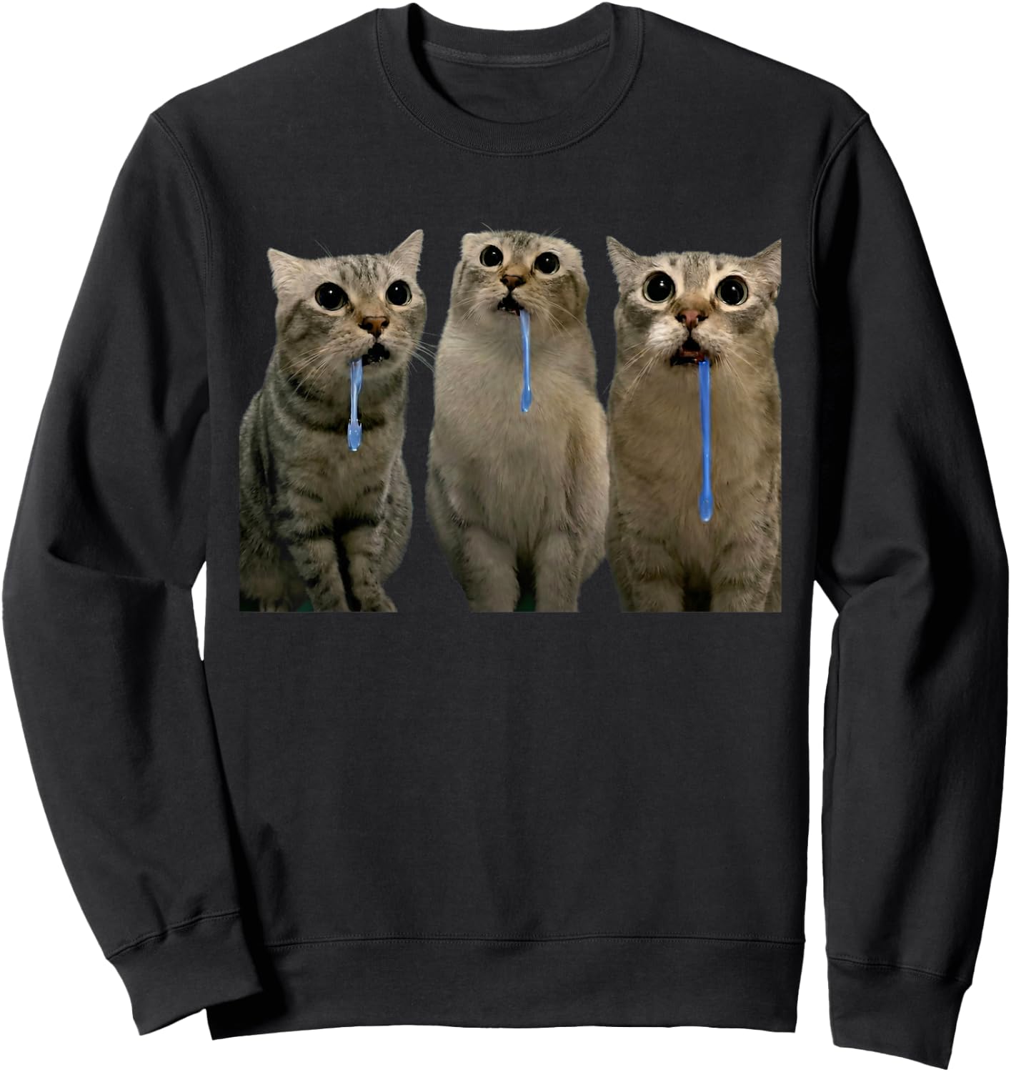 Cats Yelling at a Drooling Cat Double Funny Meme Sweatshirt - Sweatshirt | Black