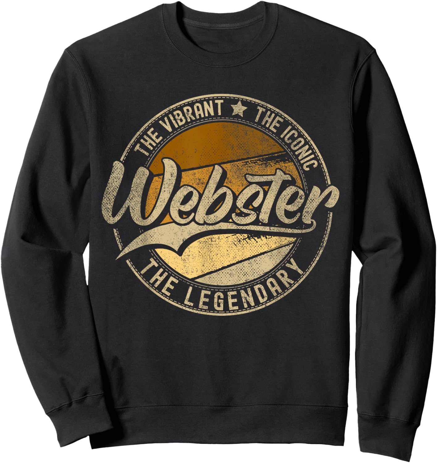 Webster NY | New York | Vintage Distressed Sweatshirt - Sweatshirt | Black