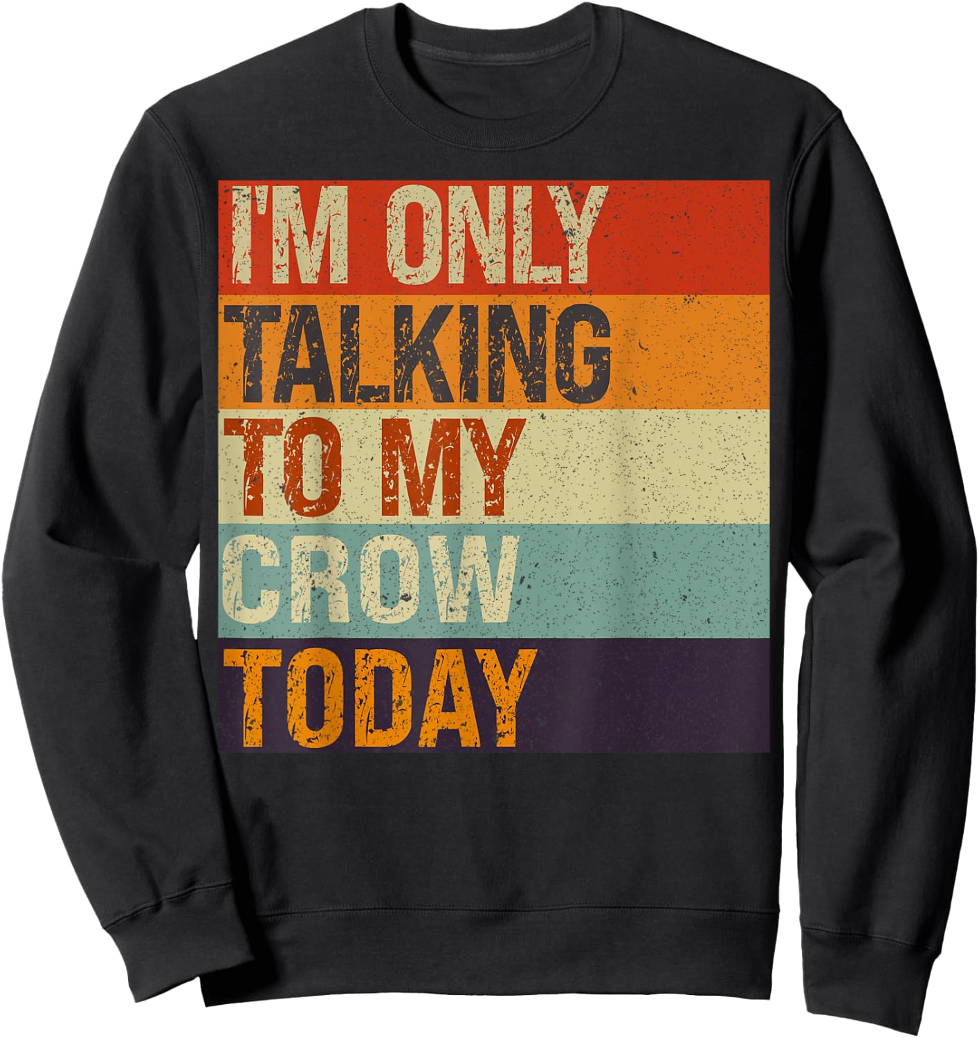 Funny Crow Bird I'm Only Talking To My Crow Bird Today Sweatshirt - Sweatshirt | Black