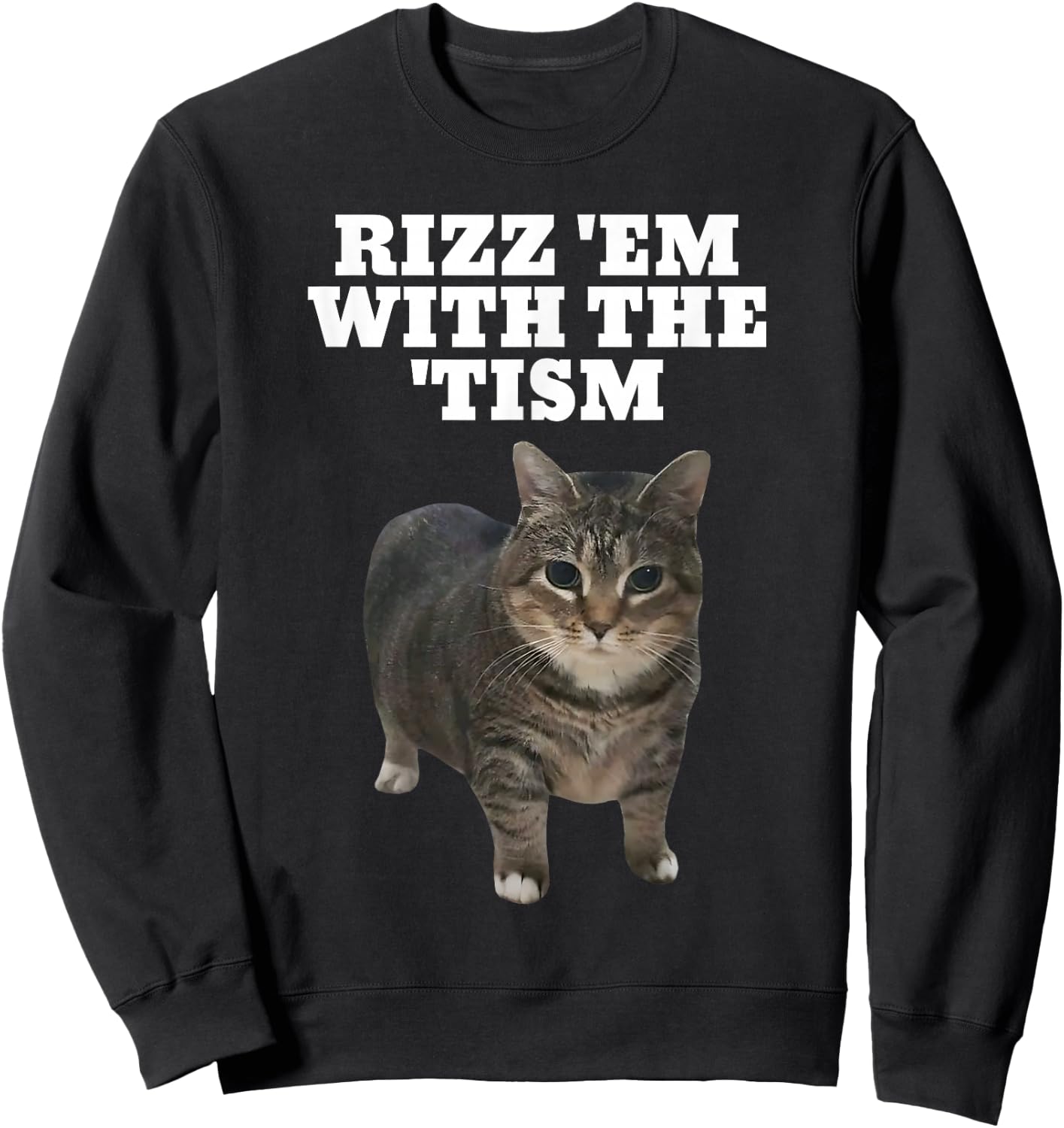 Rizz Em With The Tism Autistic Cat Rizz Sweatshirt - Sweatshirt | Black