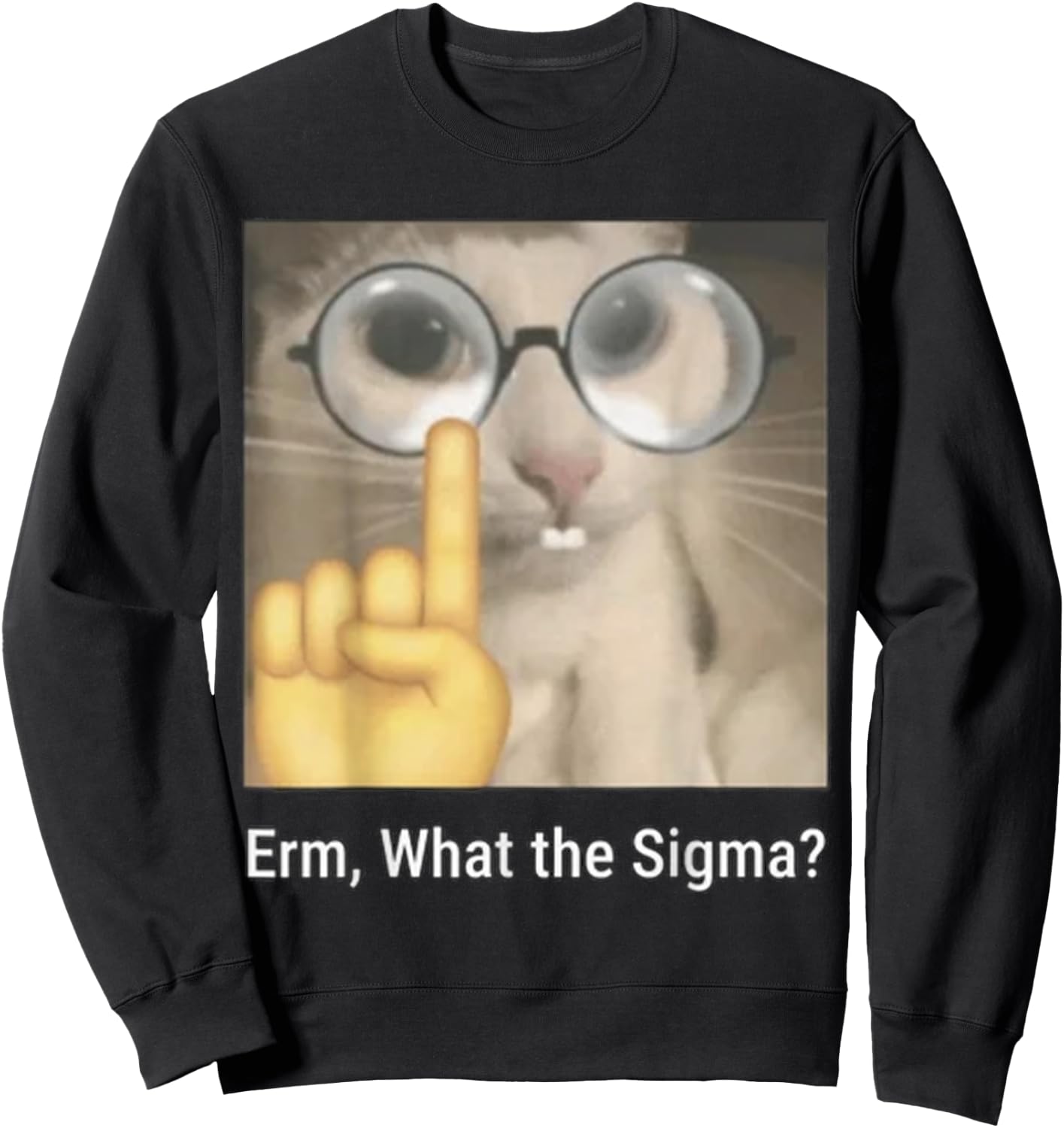 Cat Funny Erm, What The Sigma? Cat Meme Funny Sweatshirt - Sweatshirt | Black