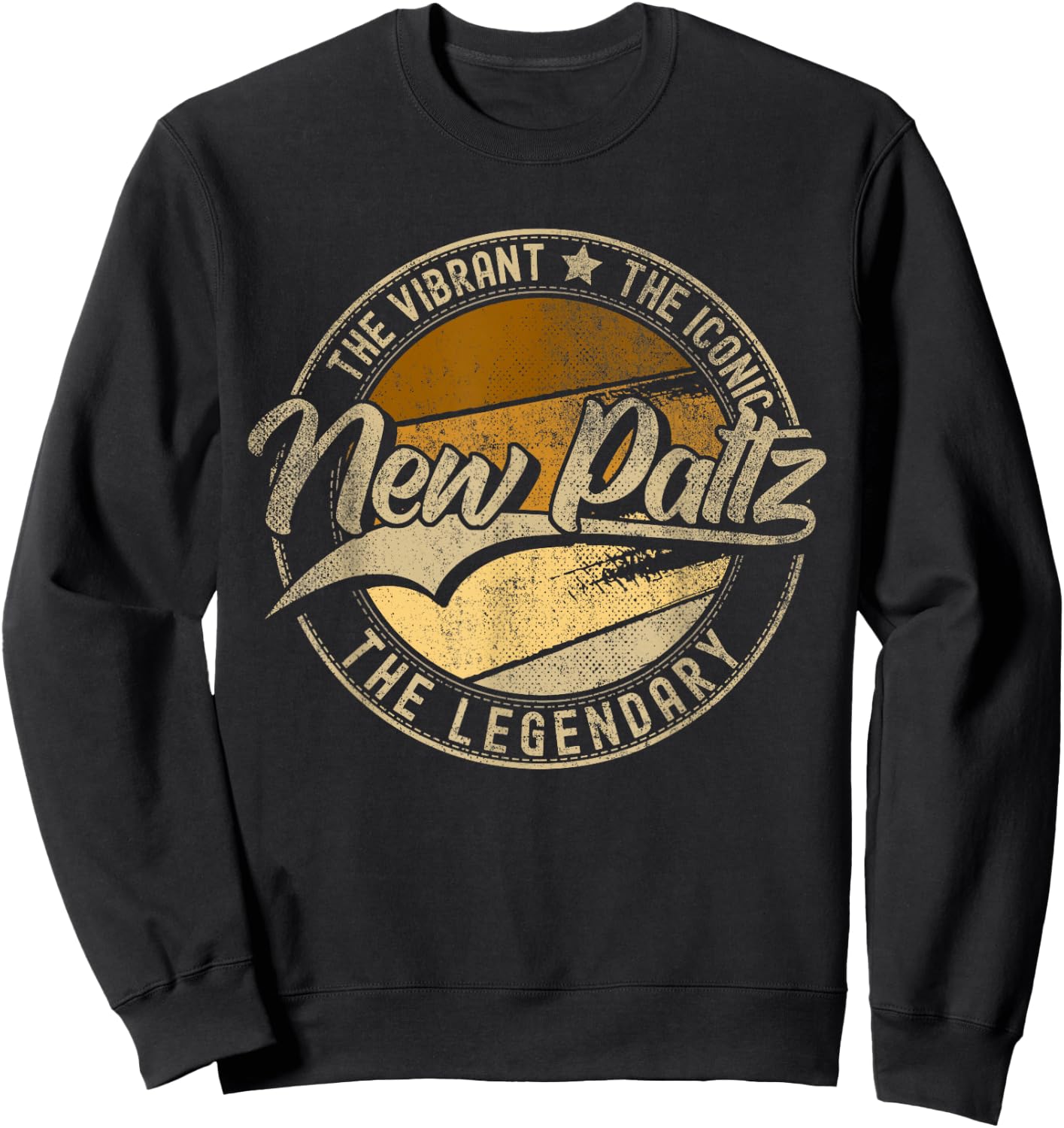 New Paltz NY | New York | Vintage Distressed Sweatshirt - Sweatshirt | Black