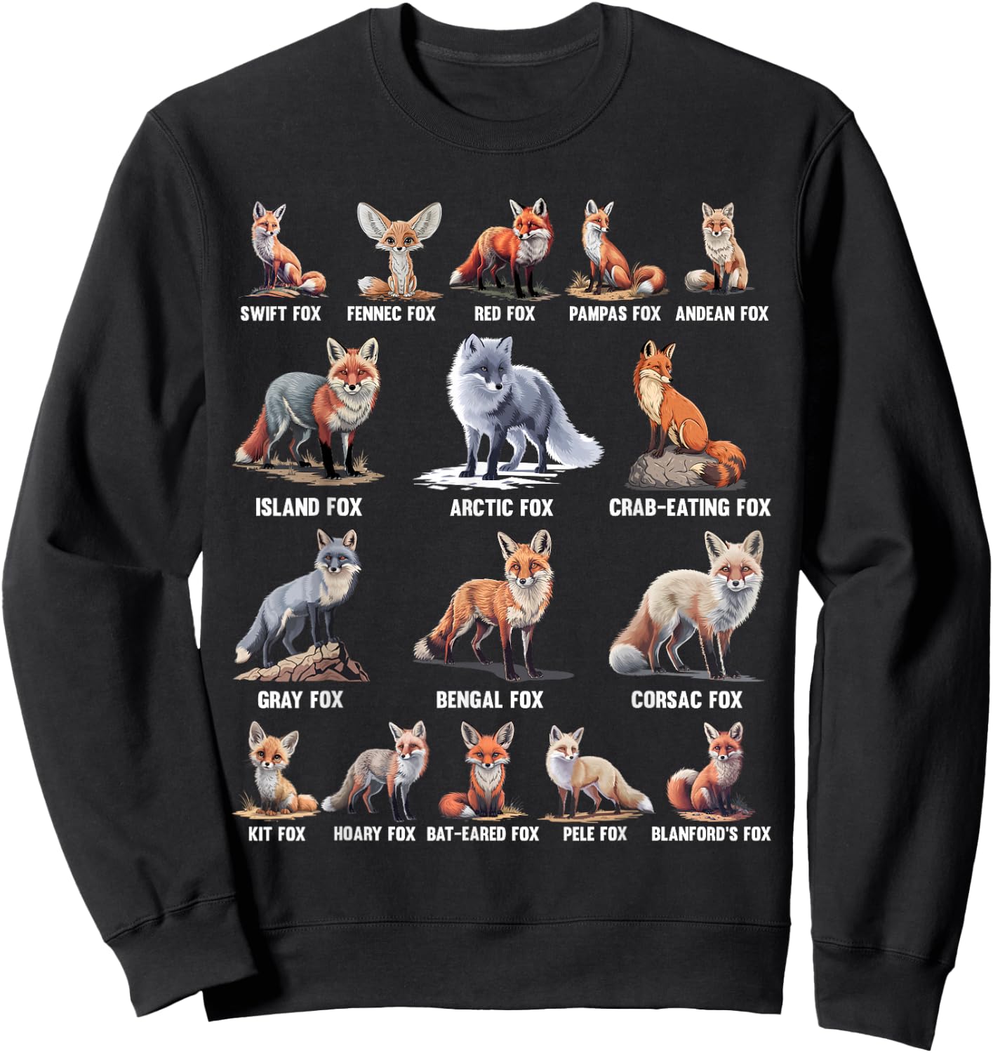 Foxes Of The World Funny Fox Animals Educational Sweatshirt - Sweatshirt | Black