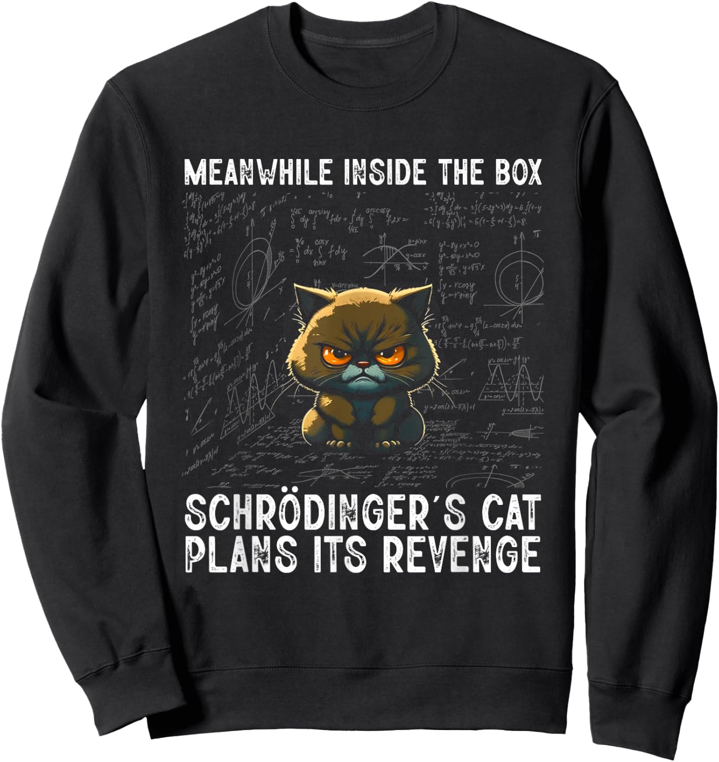 Inside The Box Schrödingers Cat Physics Student Gift , black Sweatshirt - Sweatshirt | Black
