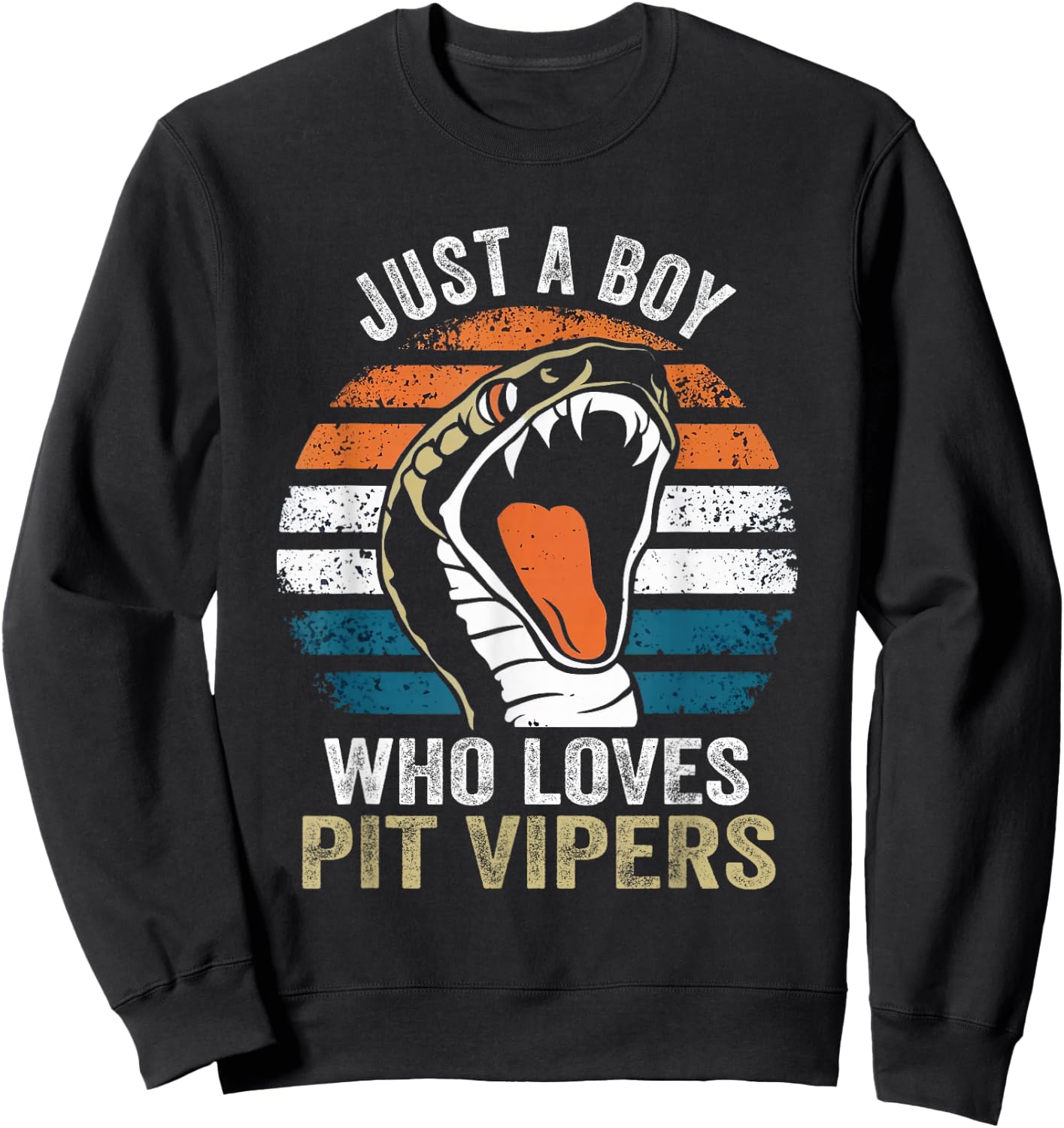 Just A Boy Who loves Pit Vipers Exotic Pet Snake Lover Sweatshirt - Sweatshirt | Black
