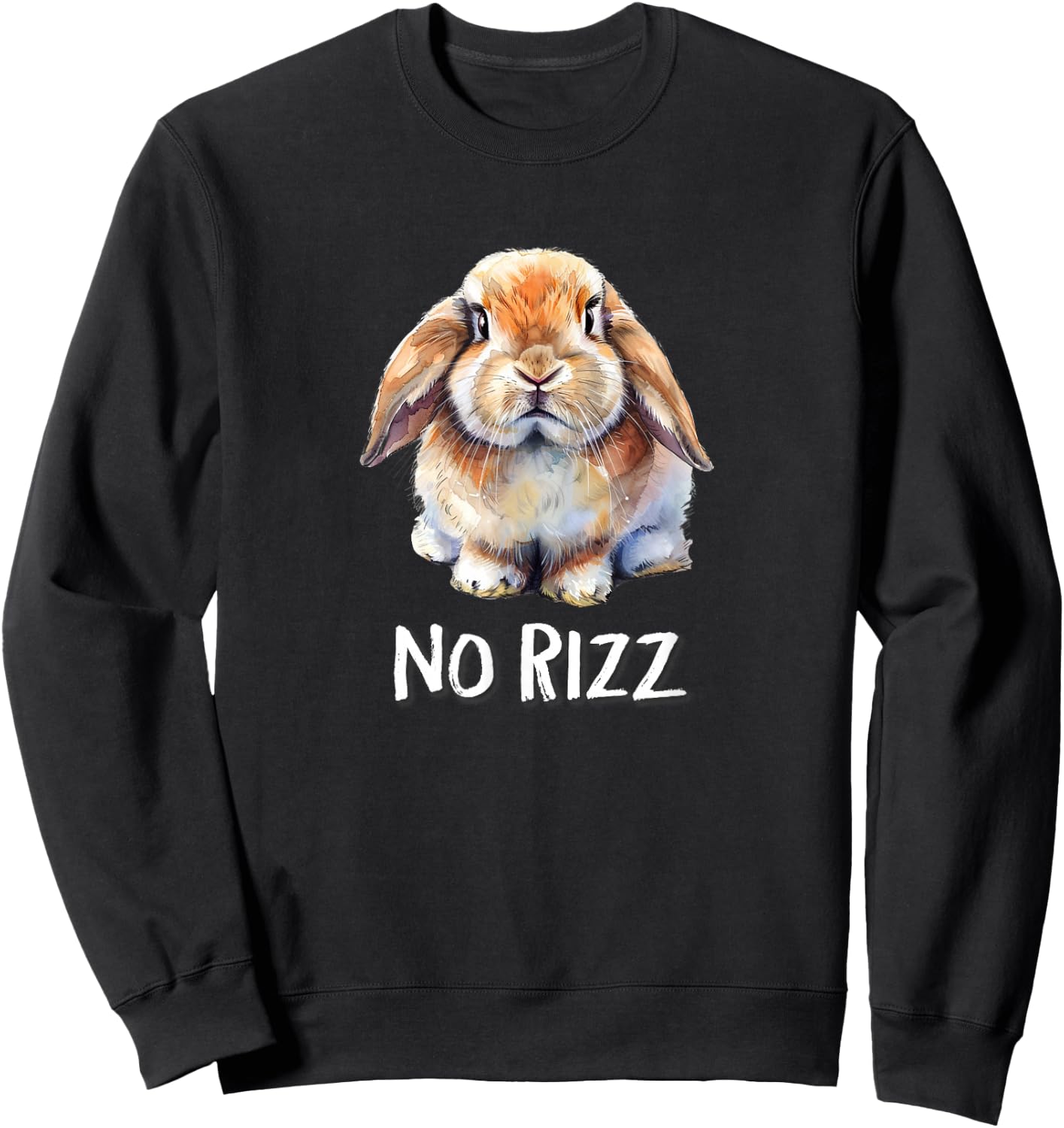 No Rizz Mini Holland Lop Bunny Rabbit Lover Sweatshirt - Sweatshirt | Black