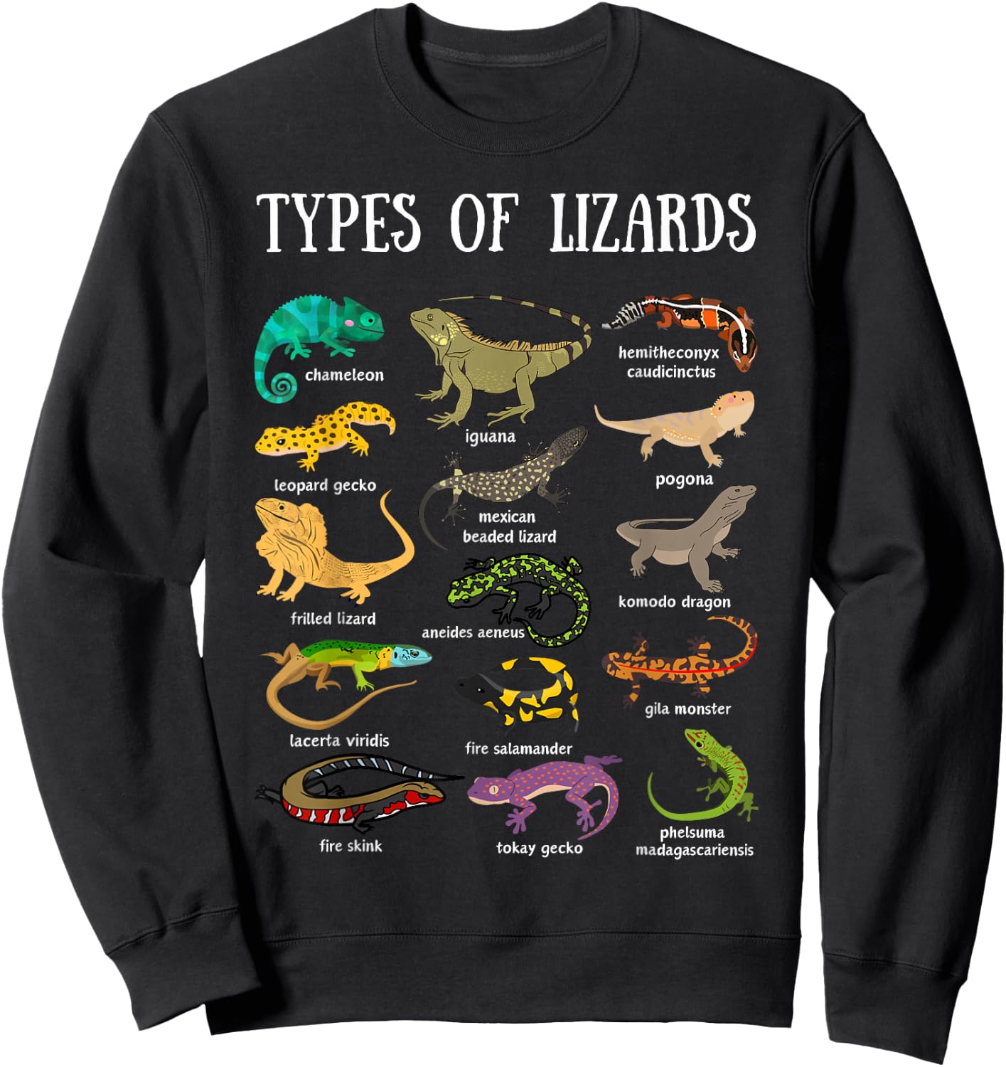Types of Lizards Reptile Herpetology Men kids lizard collage Sweatshirt - Sweatshirt | Black