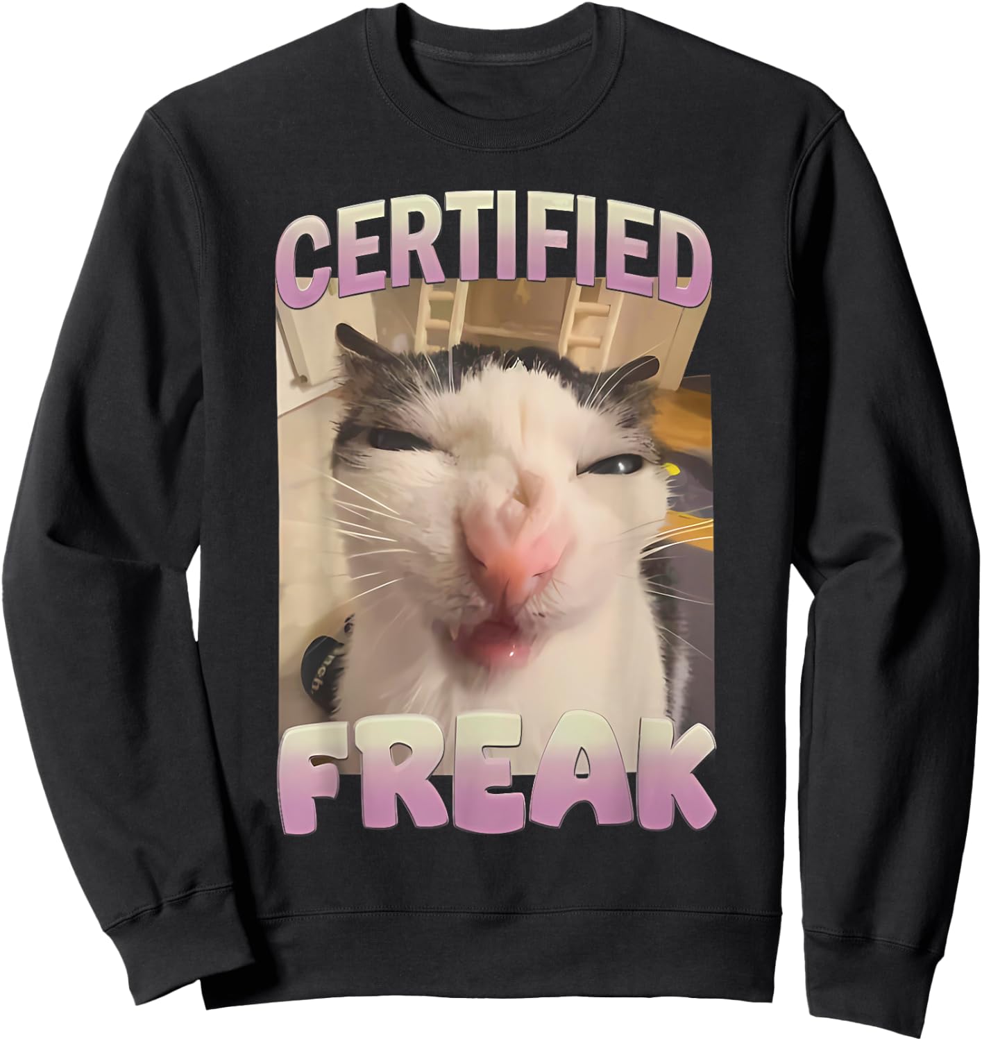 Certified Freak Funny Cat Meme Sweatshirt - Sweatshirt | Black
