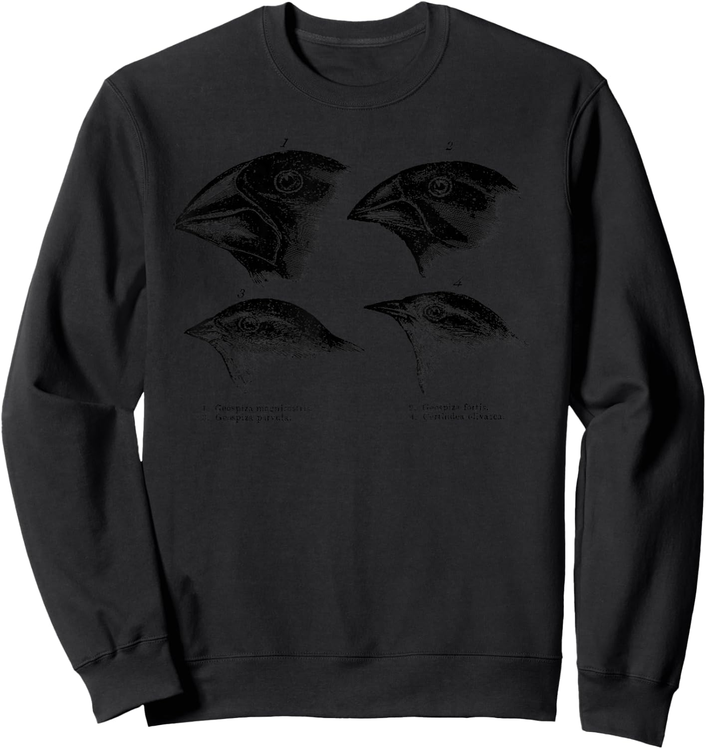 Darwin's Finches Evolution Atheist Illustration Sweatshirt - Sweatshirt | Black