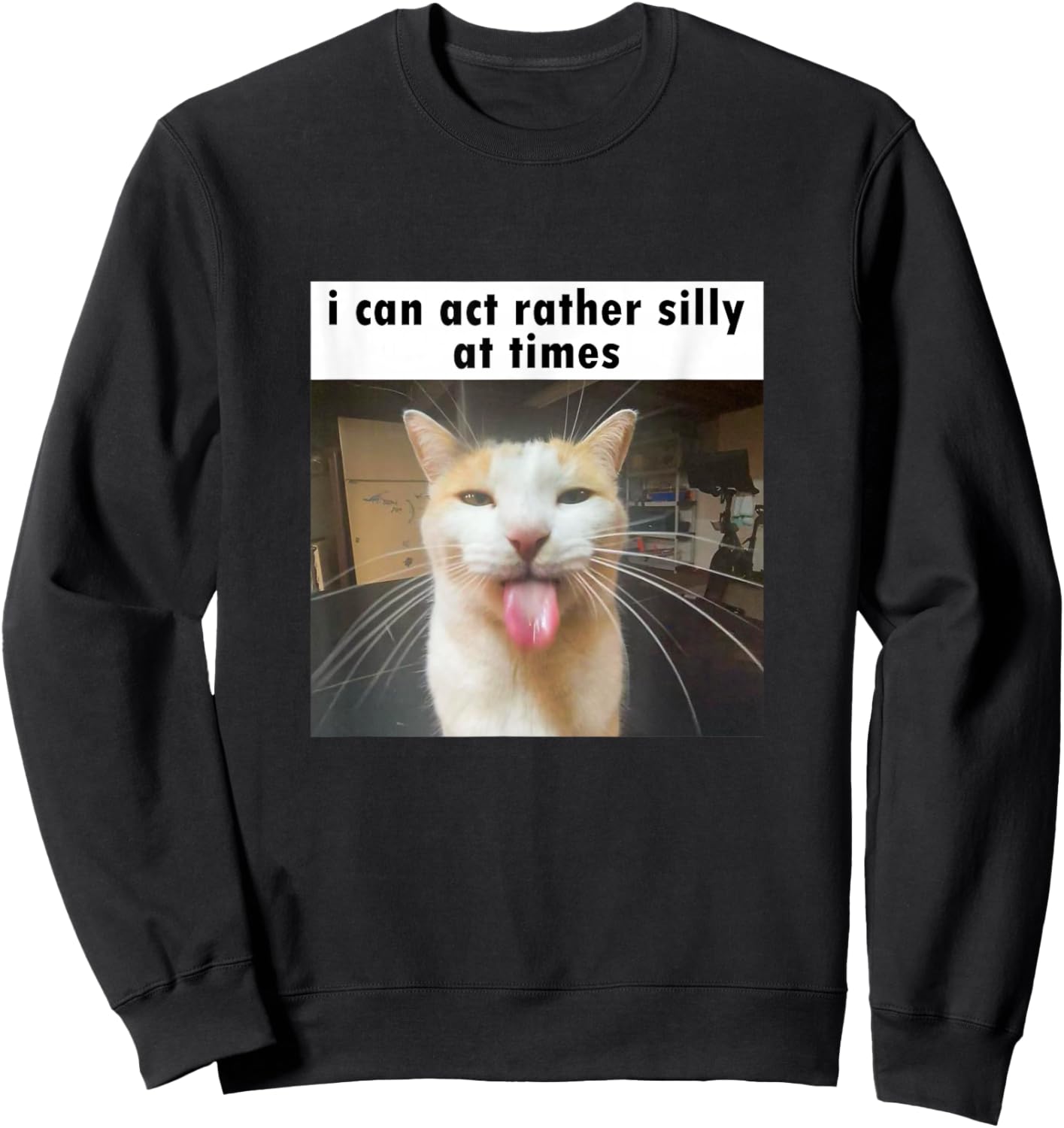 I Can Act Rather Silly at Times, Funny Silly Cat Meme Sweatshirt - Sweatshirt | Black