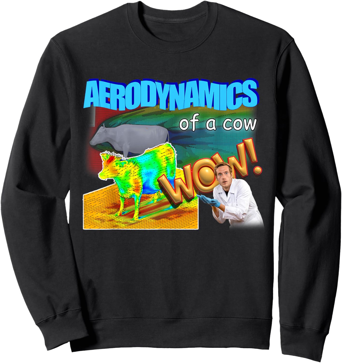 Aerodynamics Of A Cow Physics Meme Sweatshirt - Sweatshirt | Black